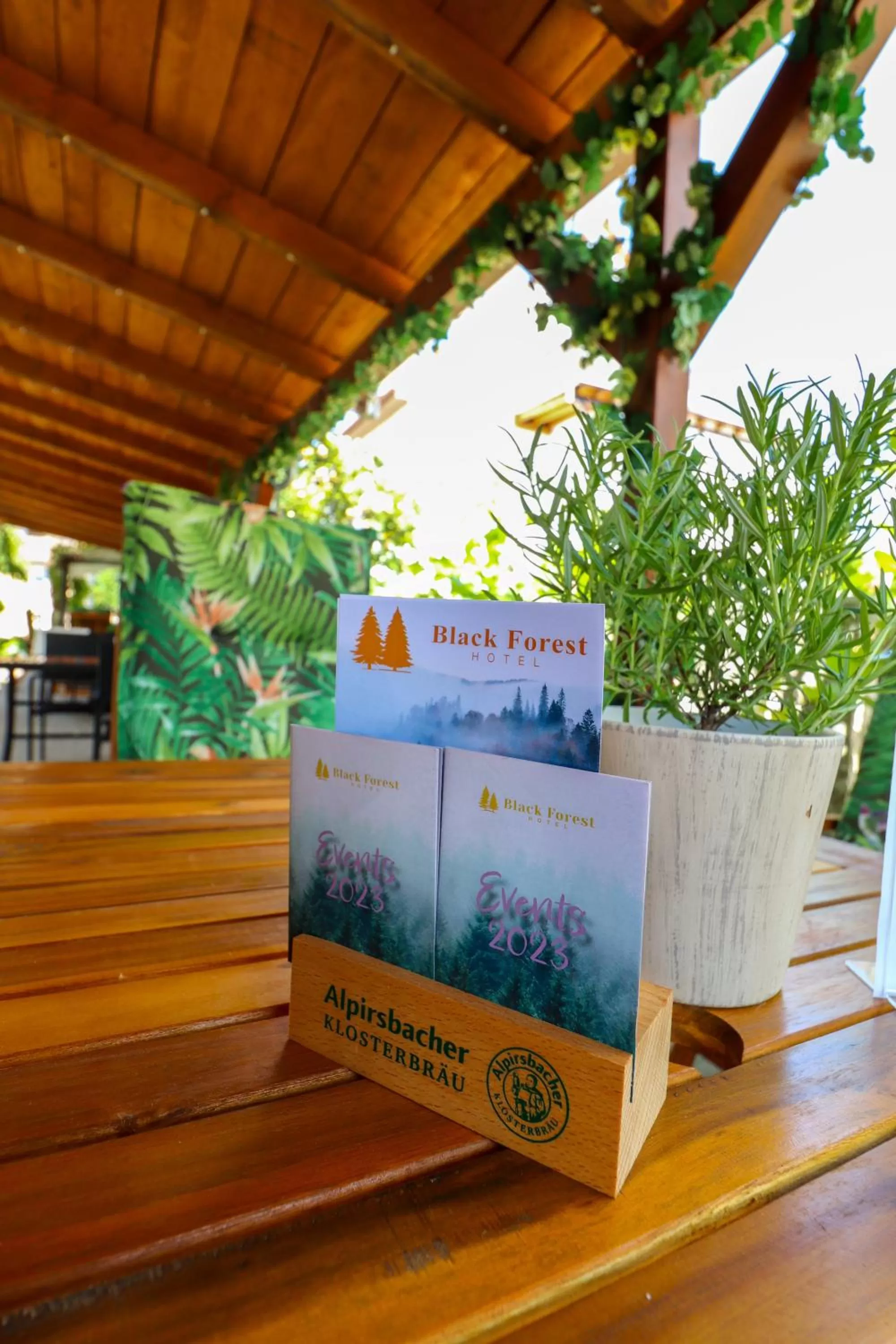 Black Forest Hotel Kappel-Grafenhausen