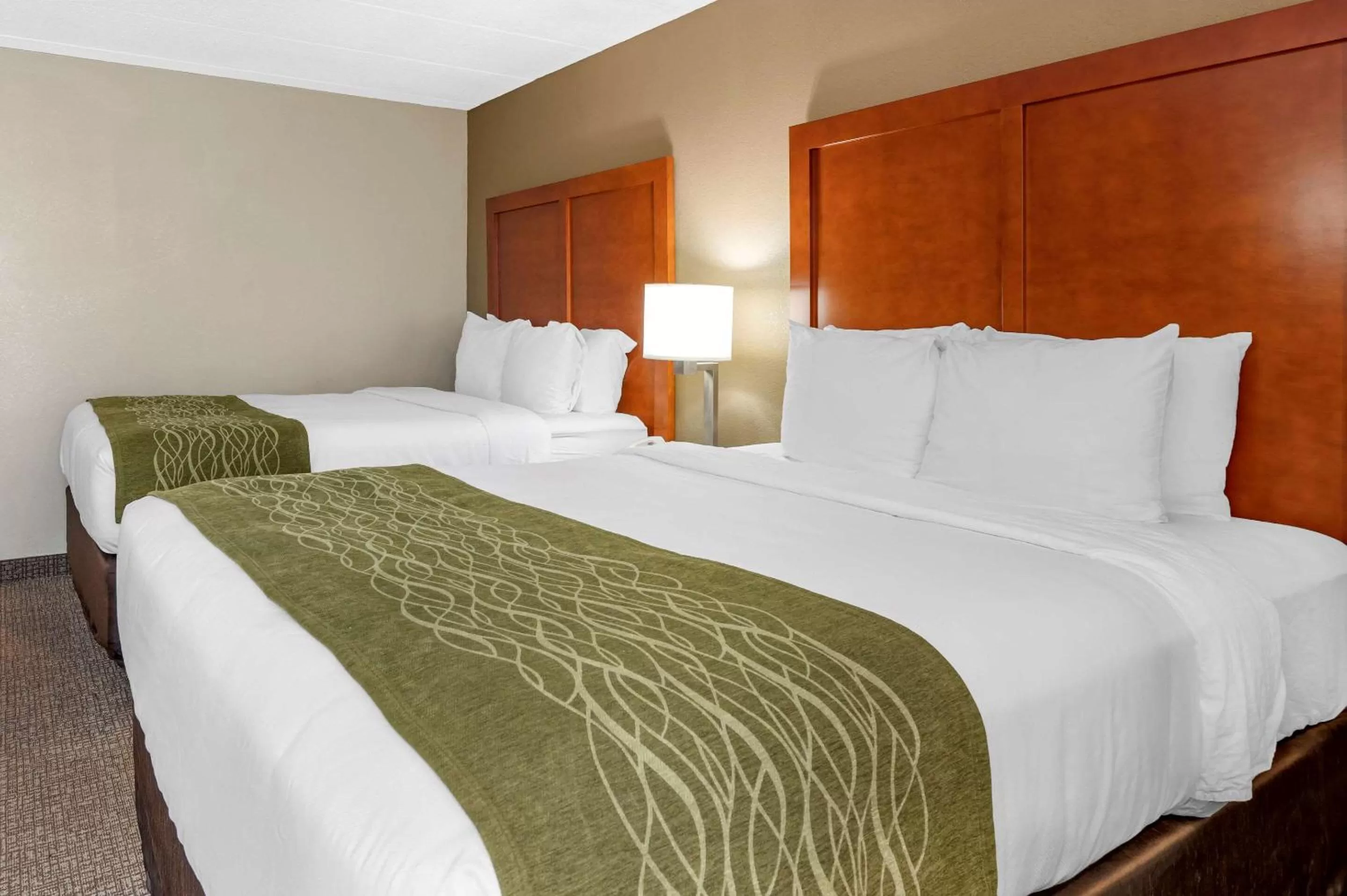 Photo of the whole room, Bed in Comfort Inn Oxford - University Area