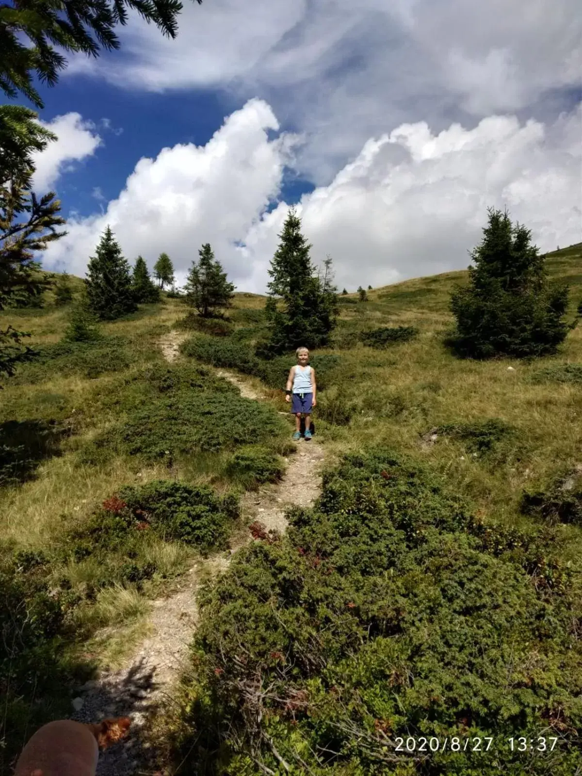 Hotel Serenella Hotel Serenella