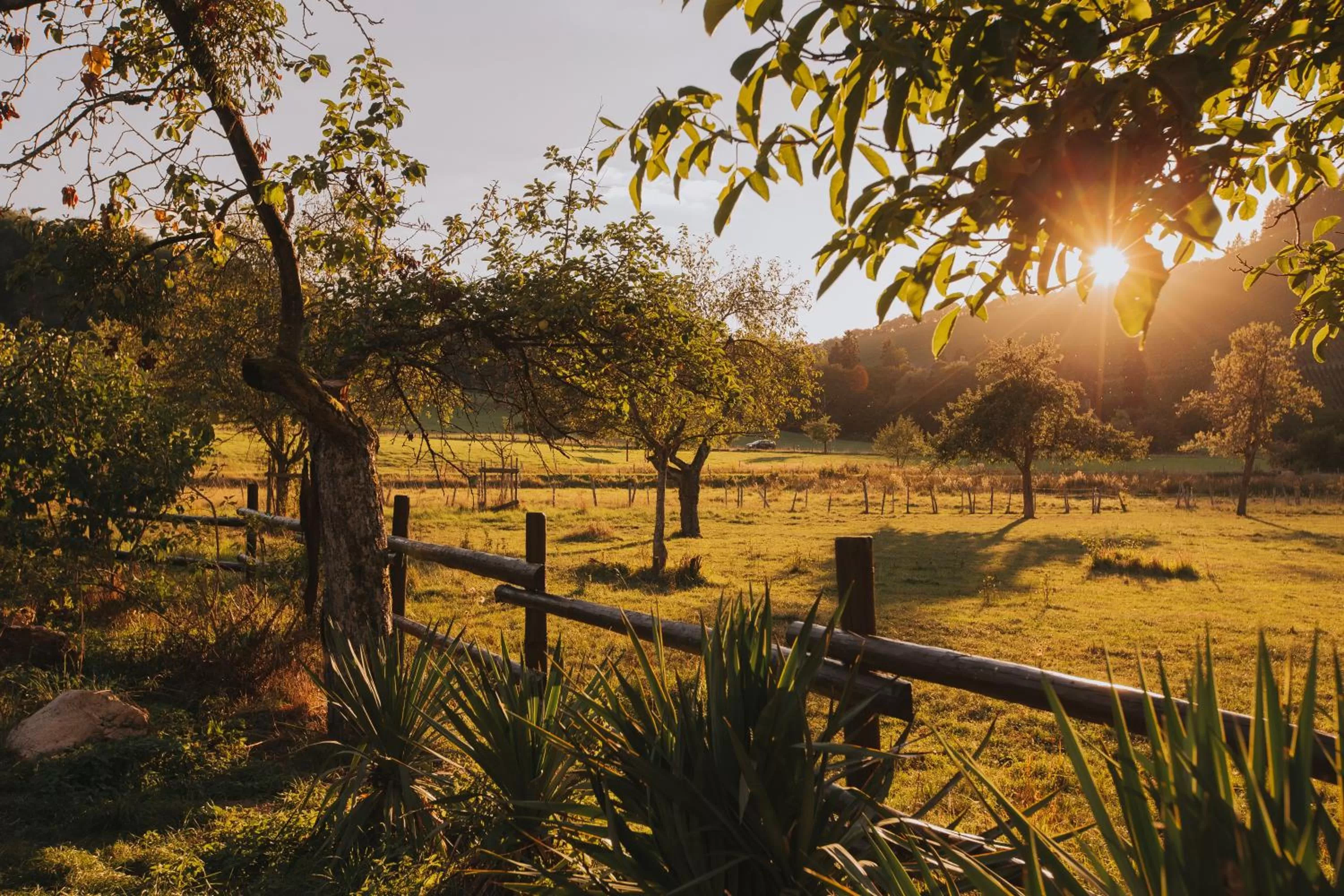 Property building in Hotel und Weingut Karlsmühle