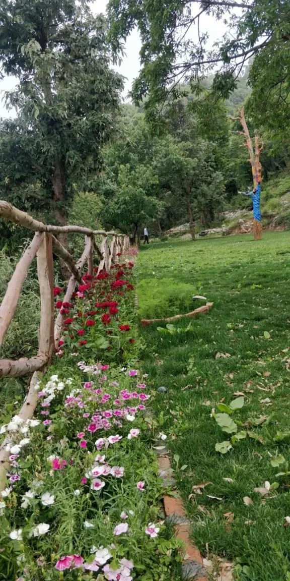 Garden in The Mountain Quail