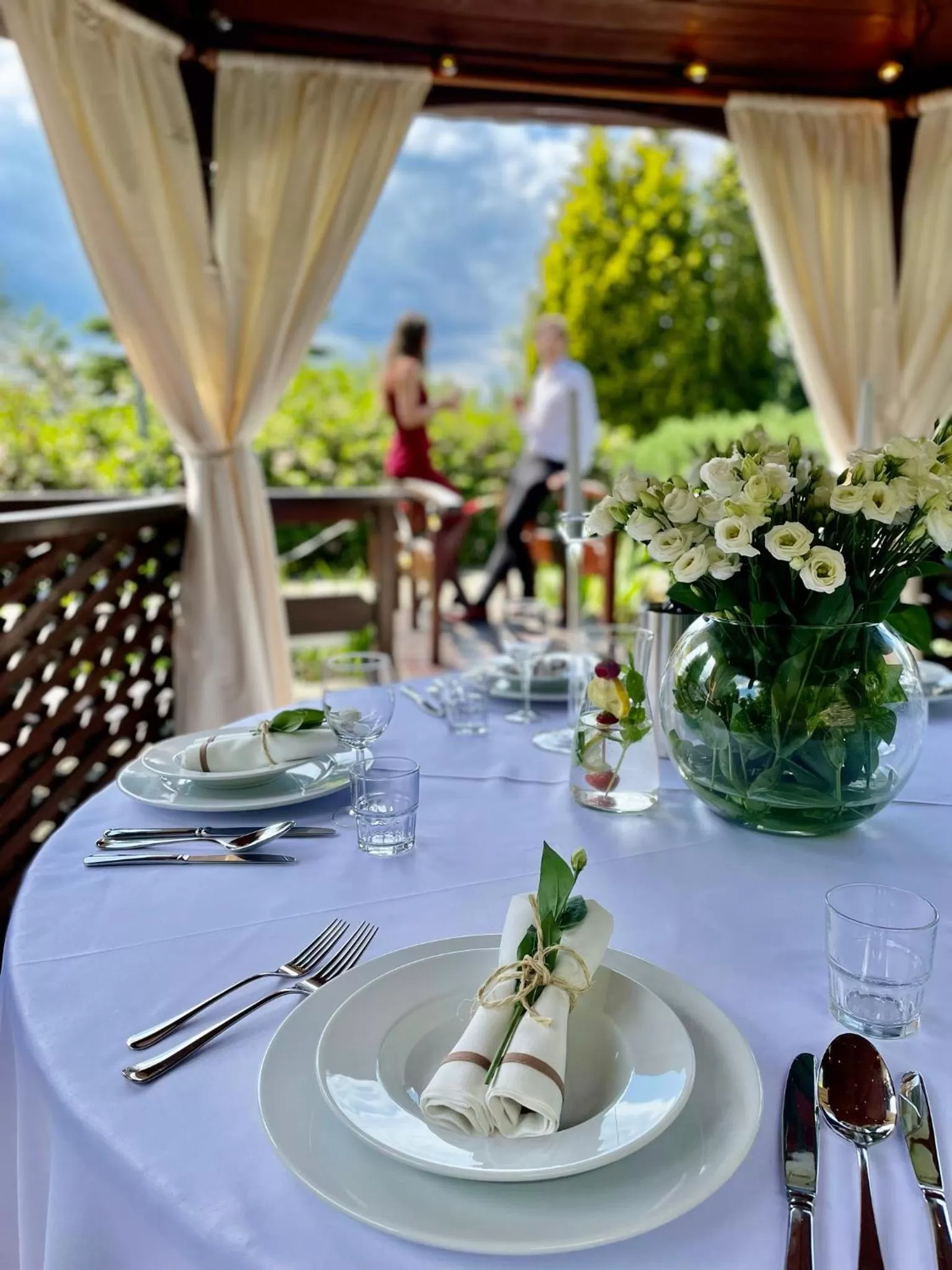 Area and facilities in Hotel Belweder