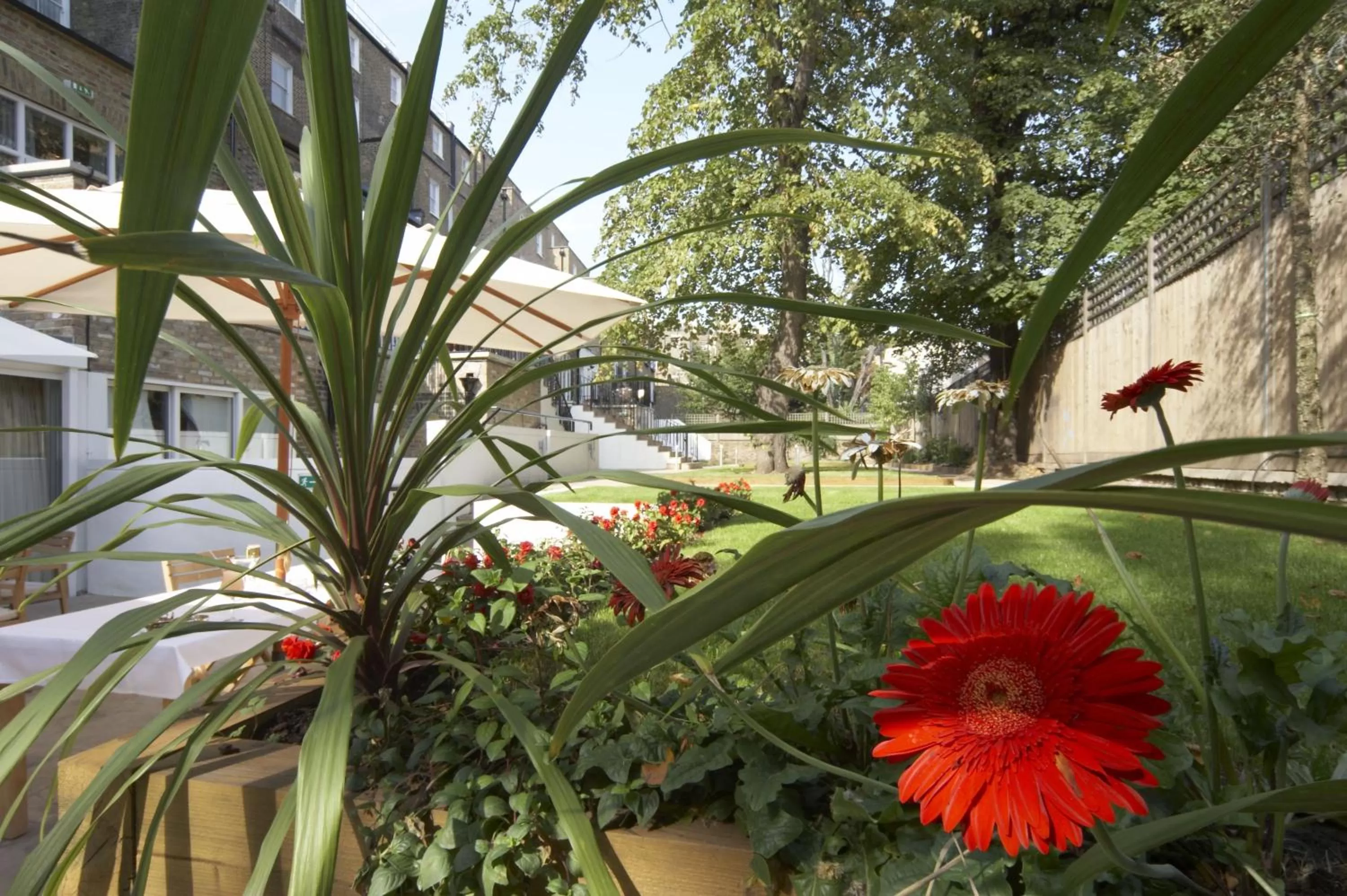 Balcony/Terrace in The Park City Grand Plaza Kensington Hotel