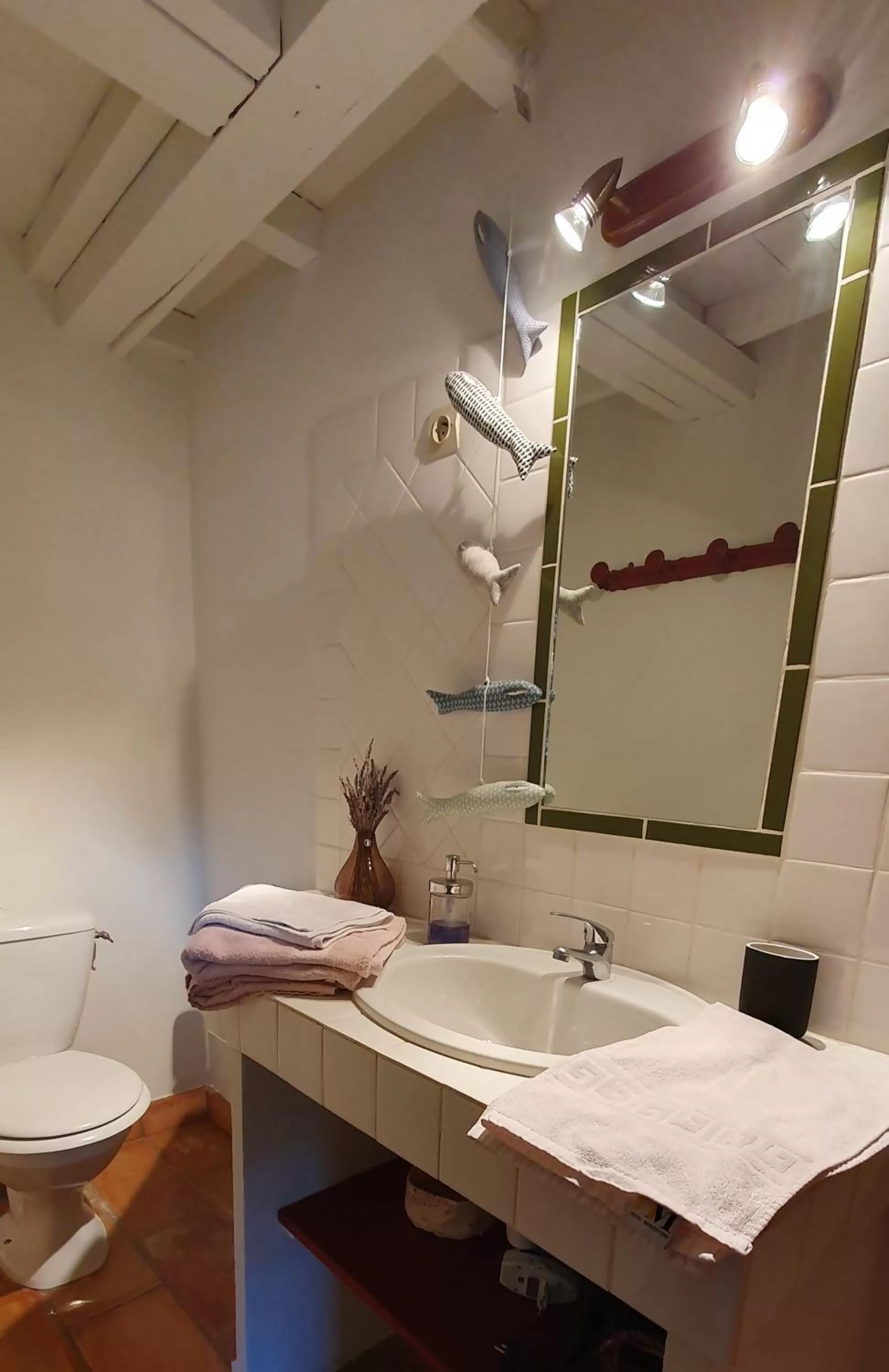 Bathroom in Aux berges du pont du gard