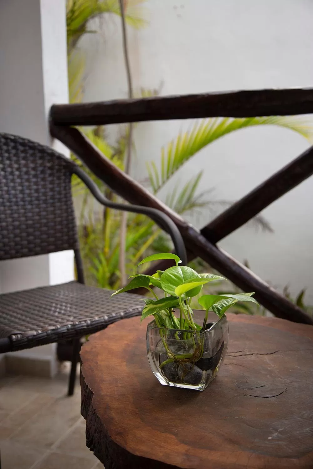 Balcony/Terrace in Hotel Amar Inn