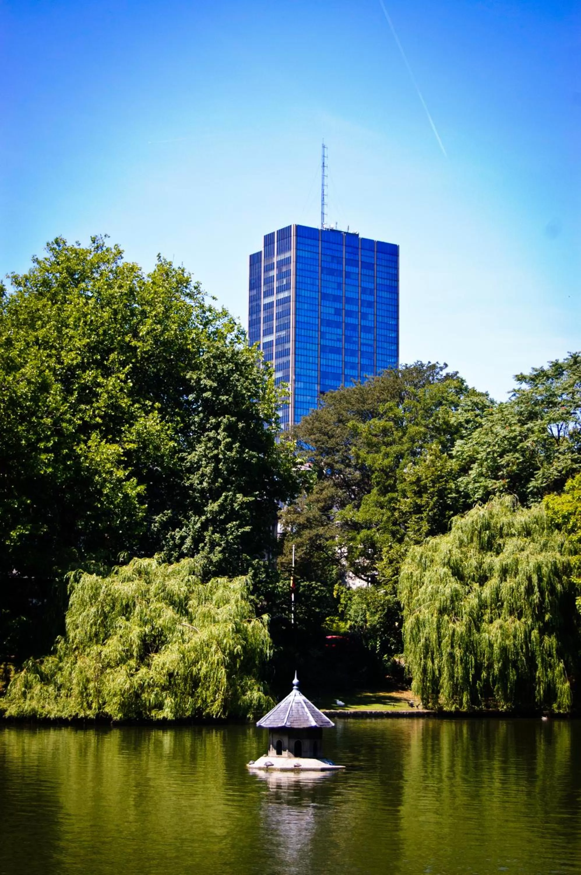 Area and facilities in House Ninety Guesthouse