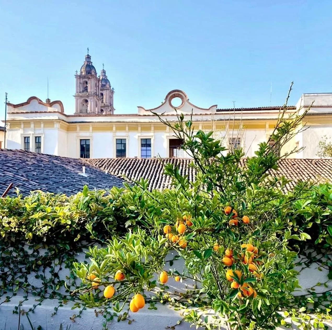 Property building in Arawi Hotel Boutique