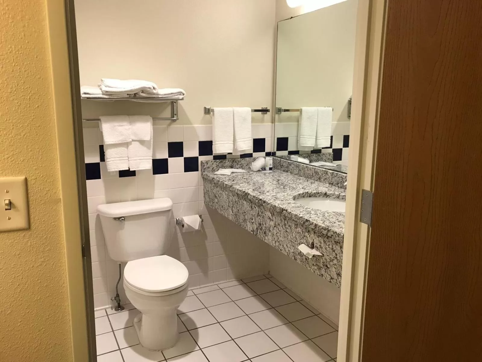 Toilet in AmericInn by Wyndham Hotel and Suites Long Lake