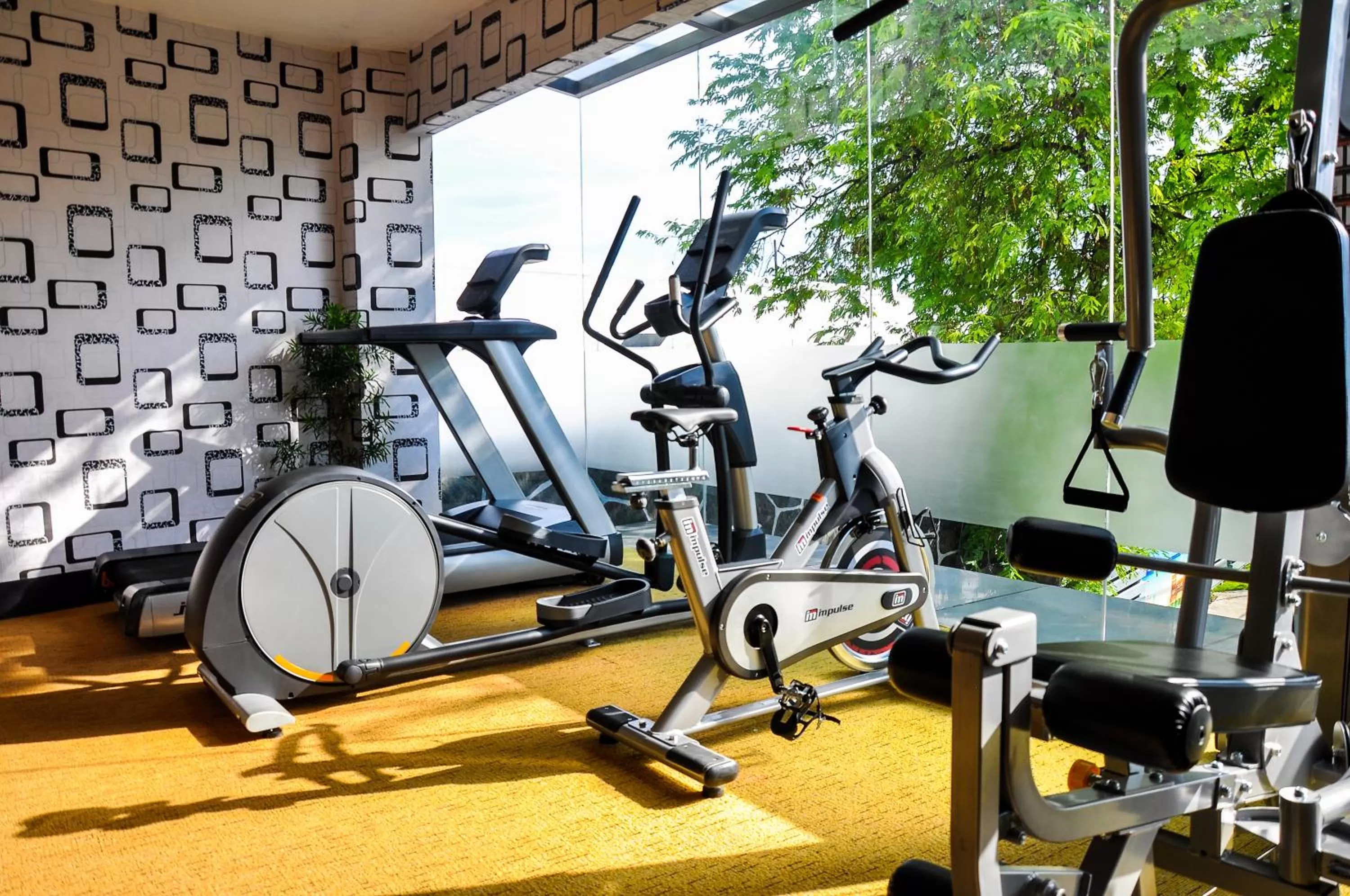 Fitness centre/facilities in Eloisa Royal Suites