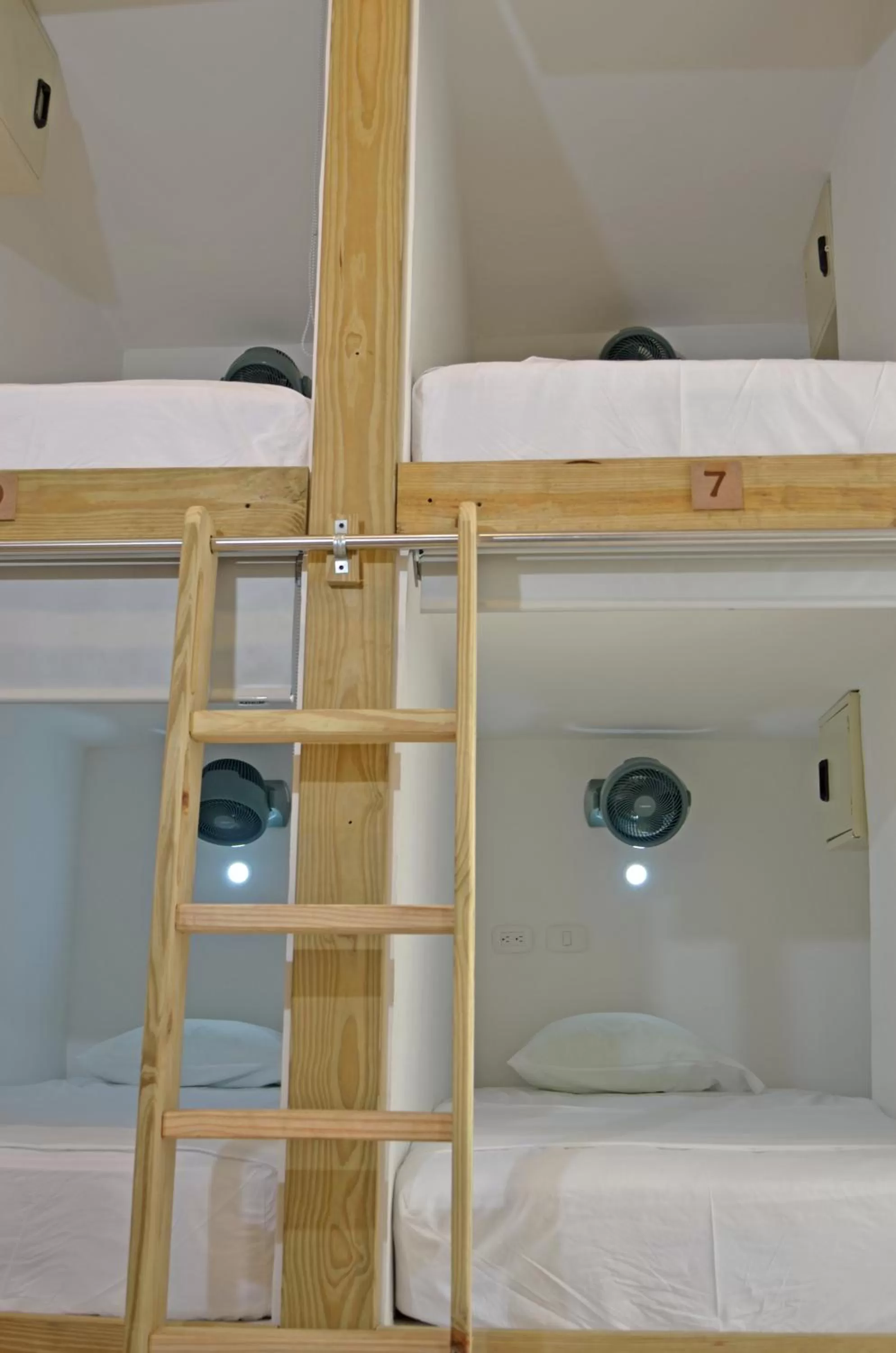Bed, Bunk Bed in Faro de Alejandría Hostel