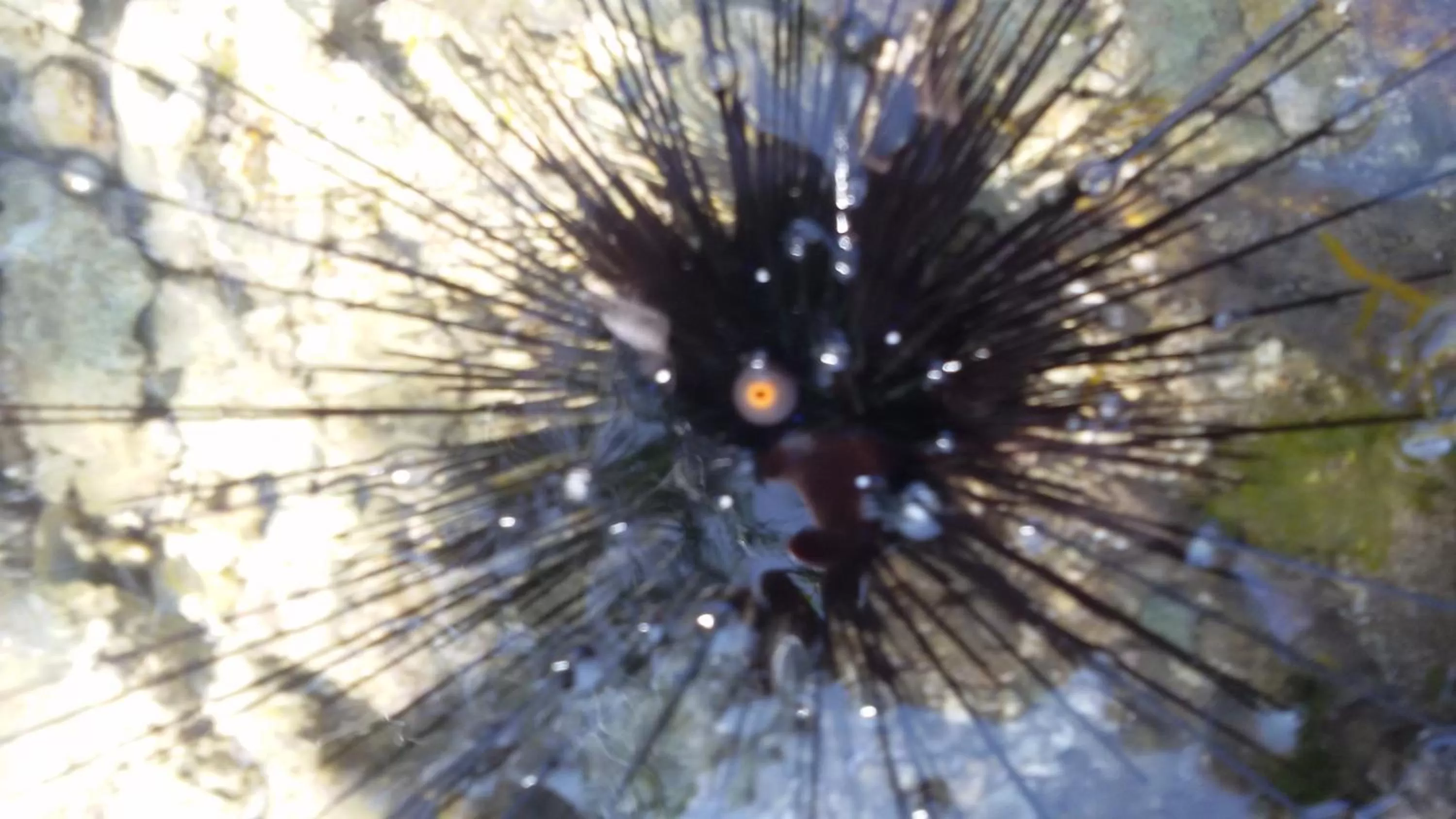 Beach in Bahari Pori Resort