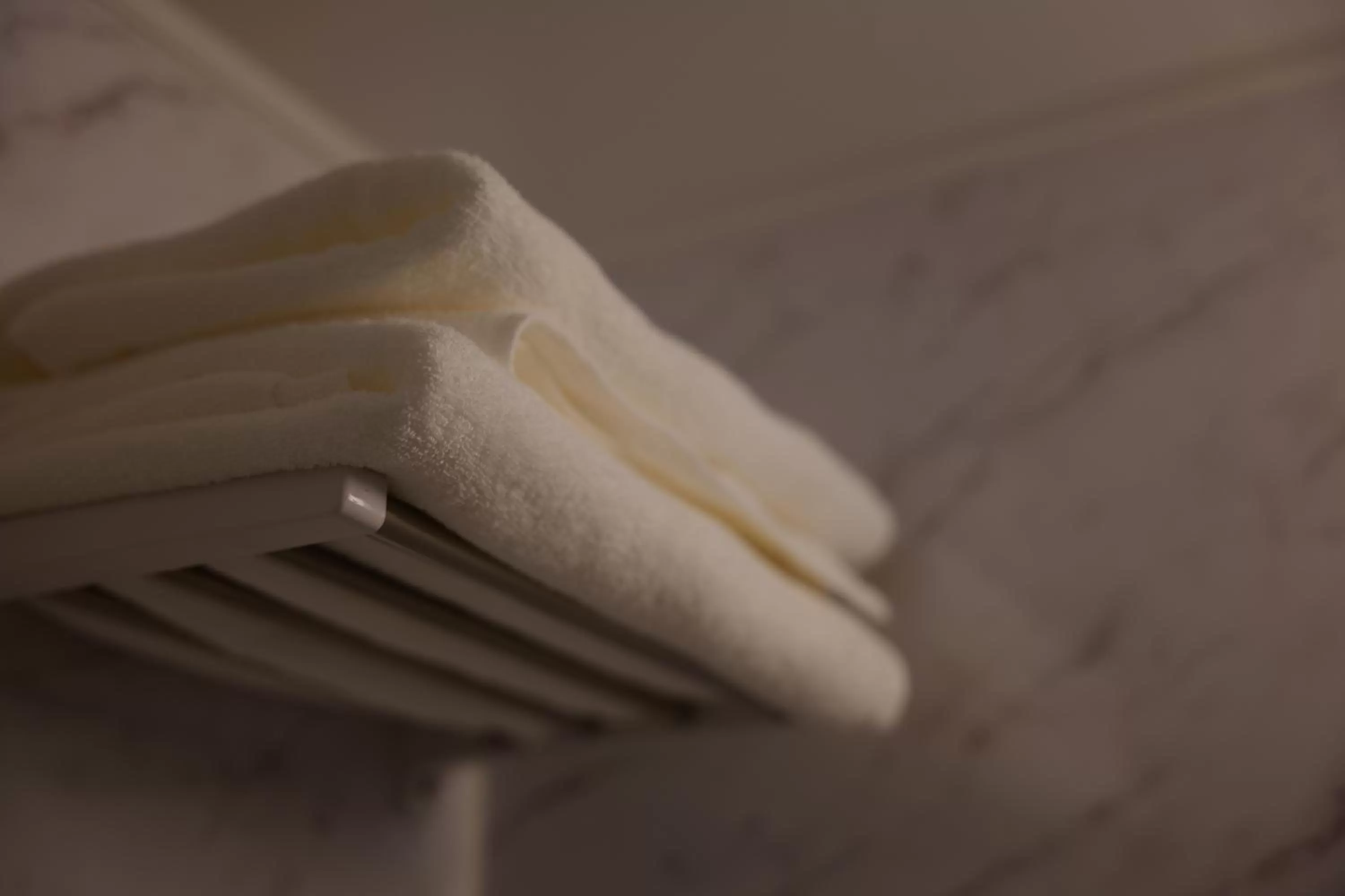 Toilet in 花築浅草和心ホテル