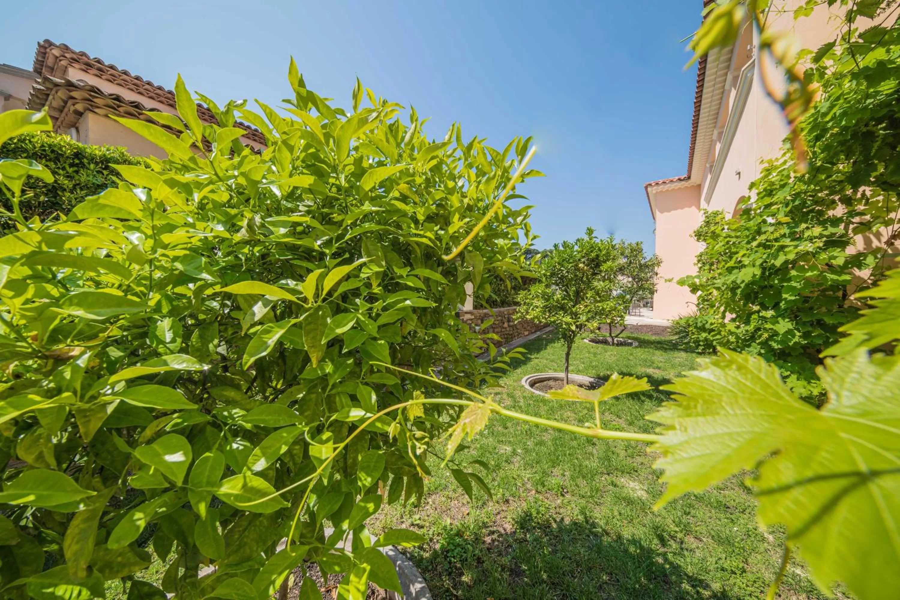 Garden in Hotel Brin d'Azur - Saint Tropez
