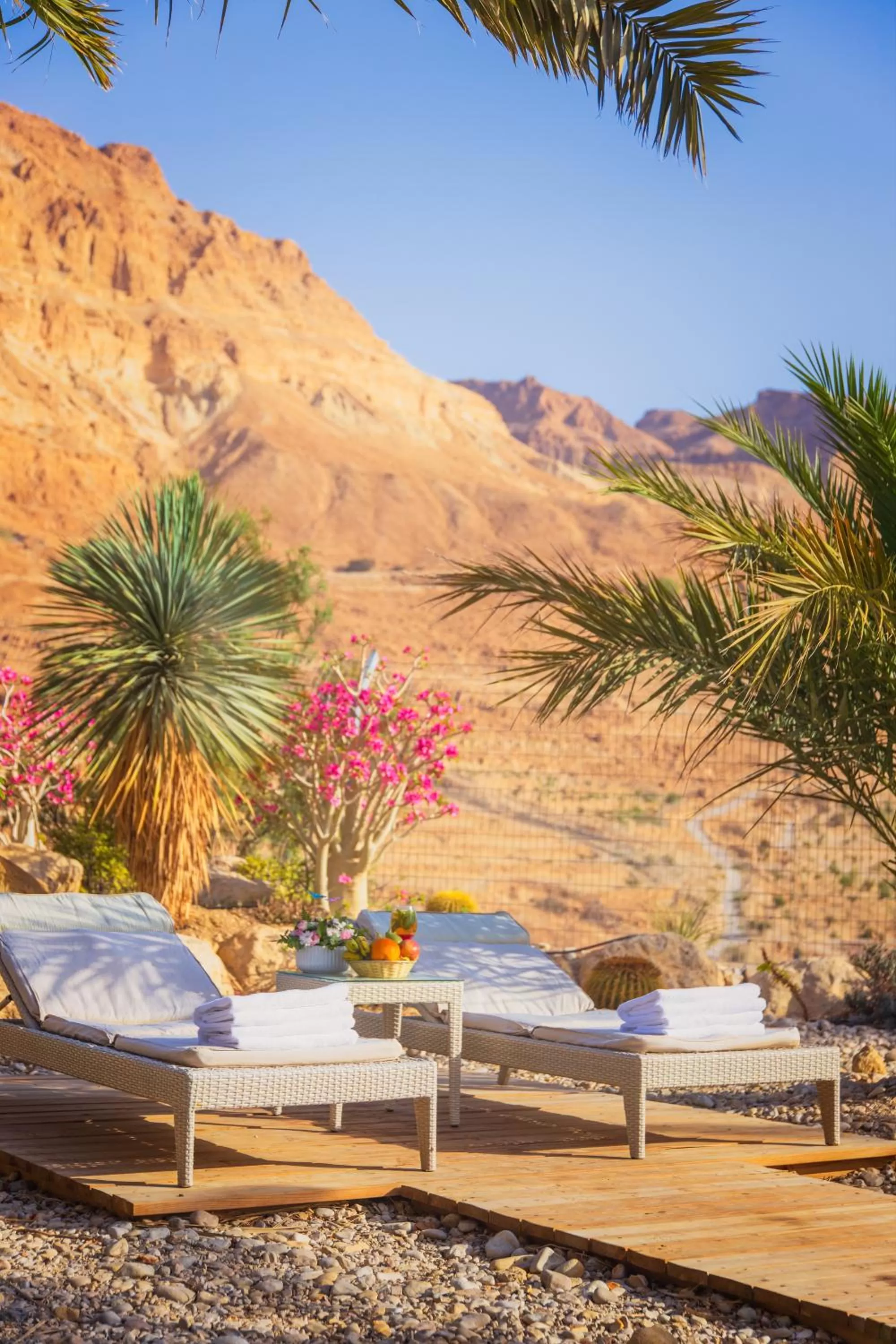 Mountain view in Ein Gedi Kibbutz Hotel