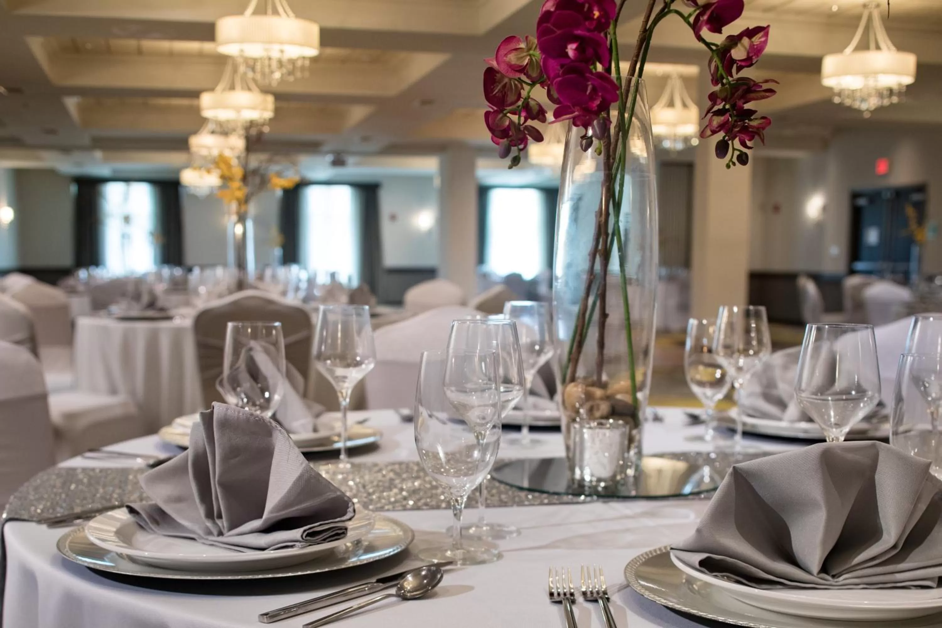 Banquet/Function facilities in Crowne Plaza Chicago SW - Burr Ridge by IHG