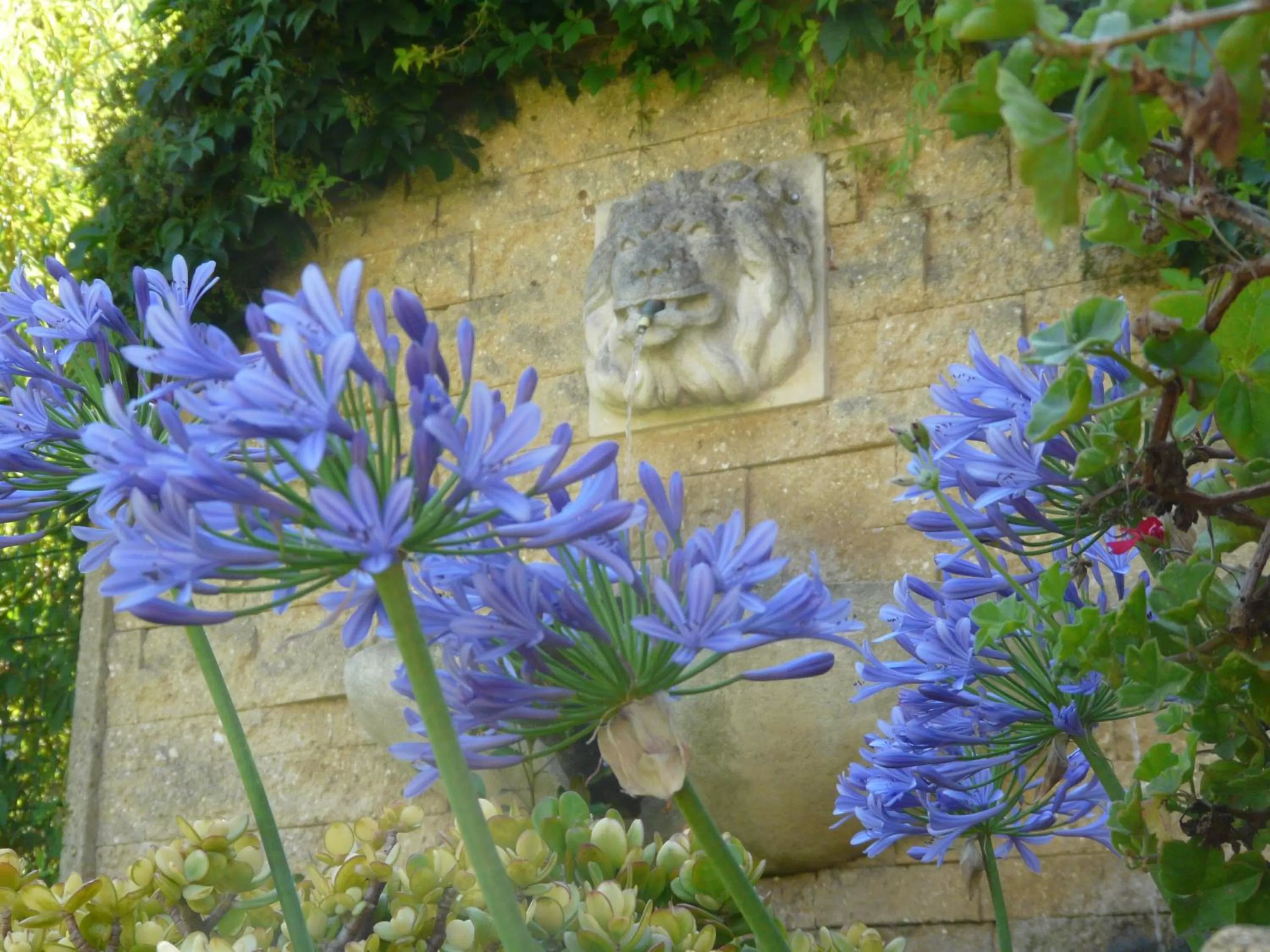 Garden, Other Animals in L' Escapade Hôtel & Restaurant