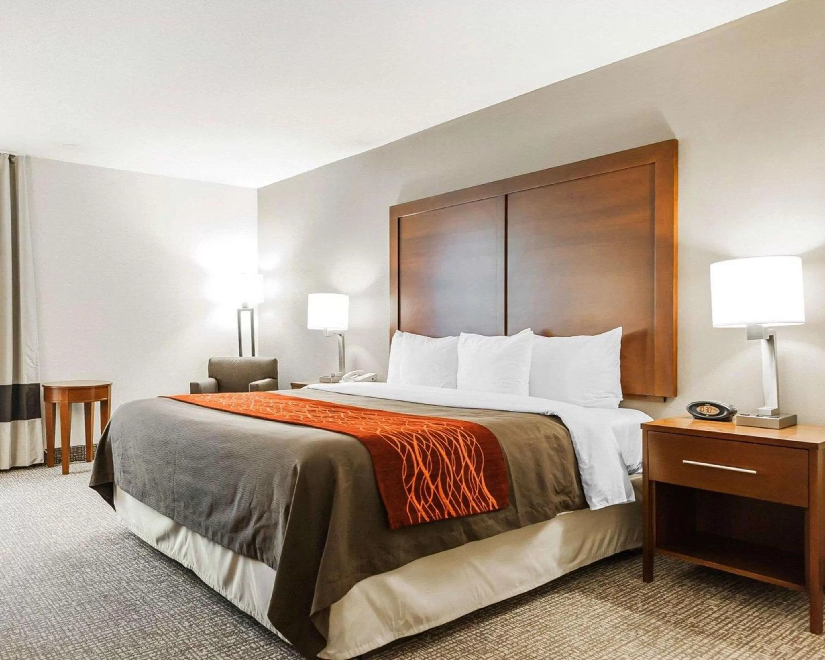 Standard King Room - Non-Smoking  in Comfort Inn Denver East