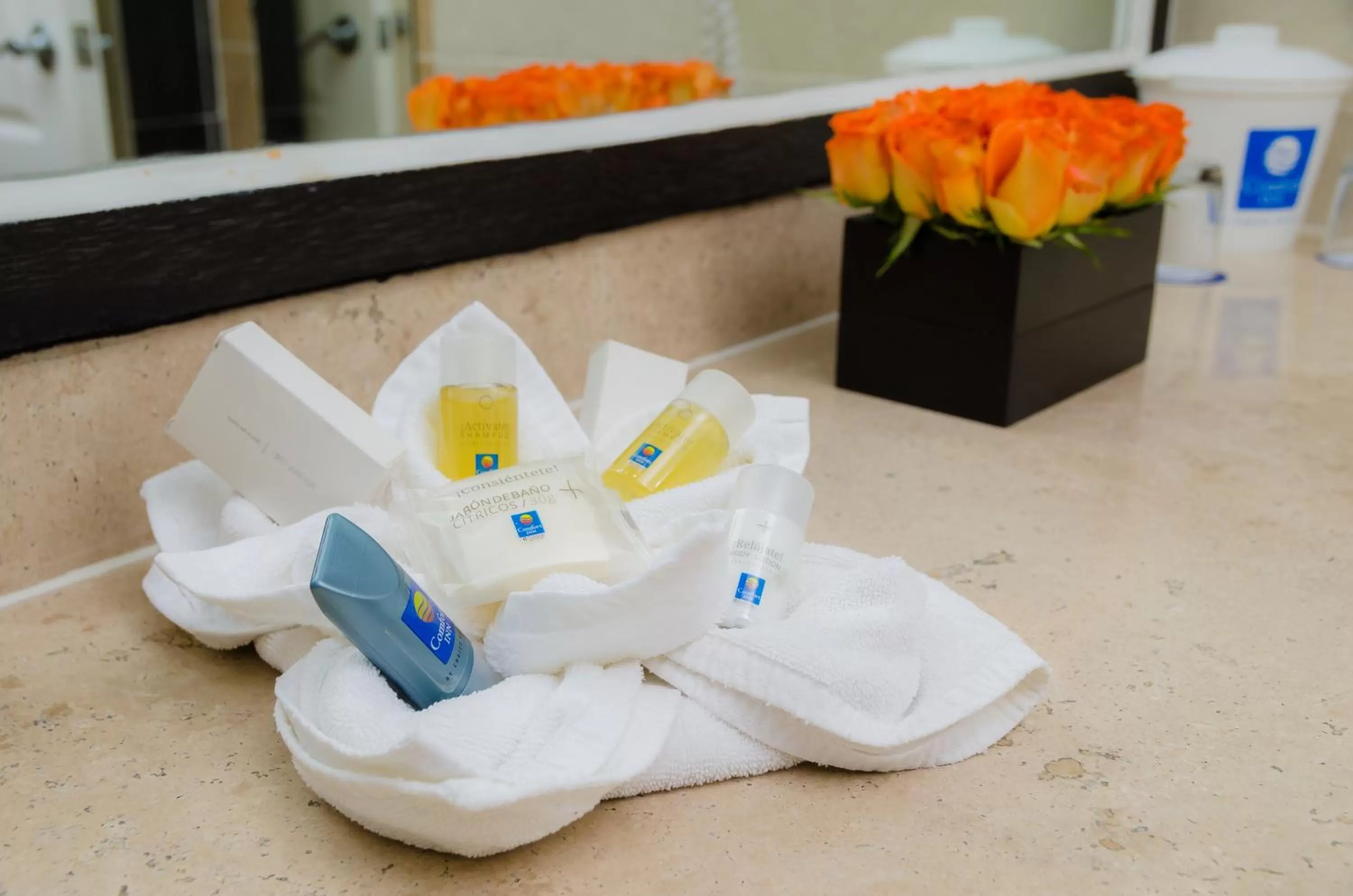 Bathroom in Comfort Inn Cordoba