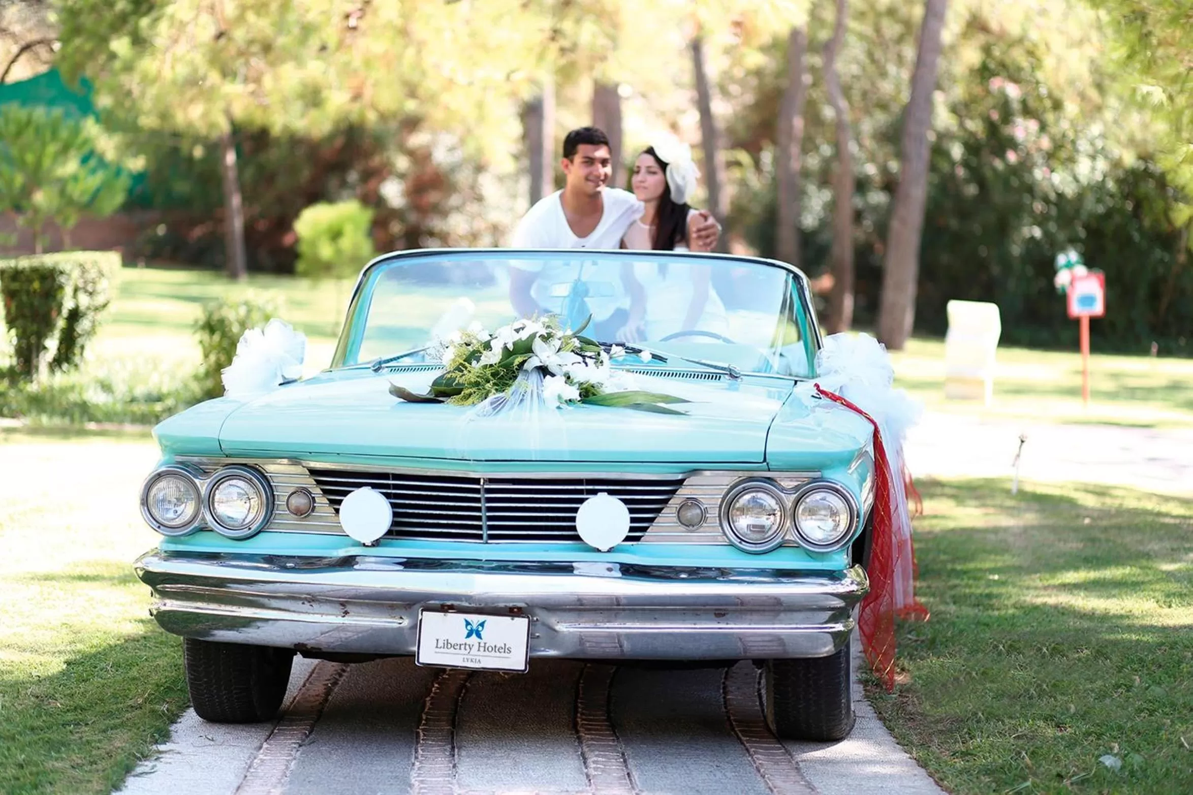 Other in Liberty Lykia