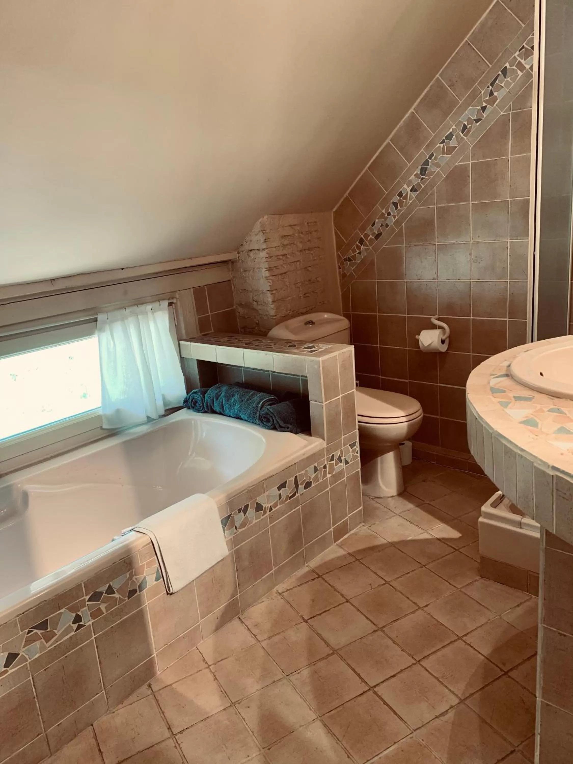 Shower in Manoir de la Rémonière