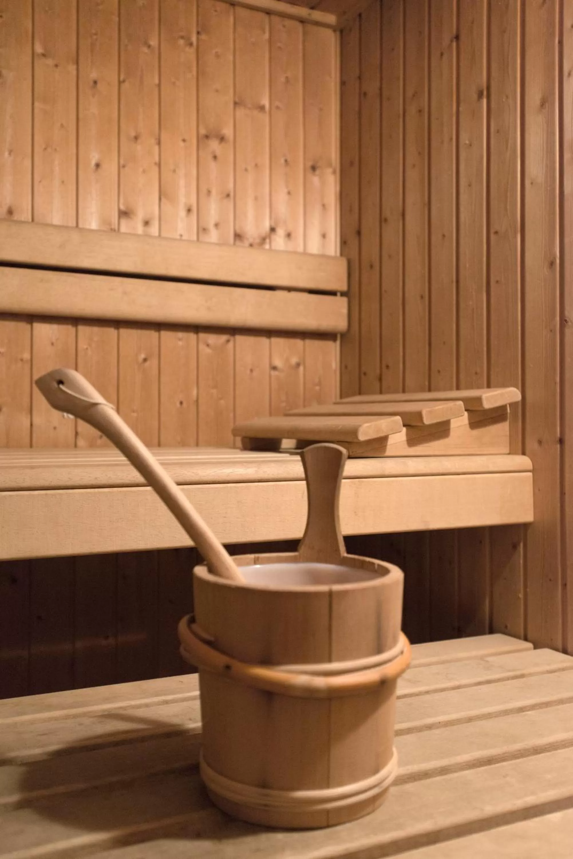 Sauna in Campanile Martigny