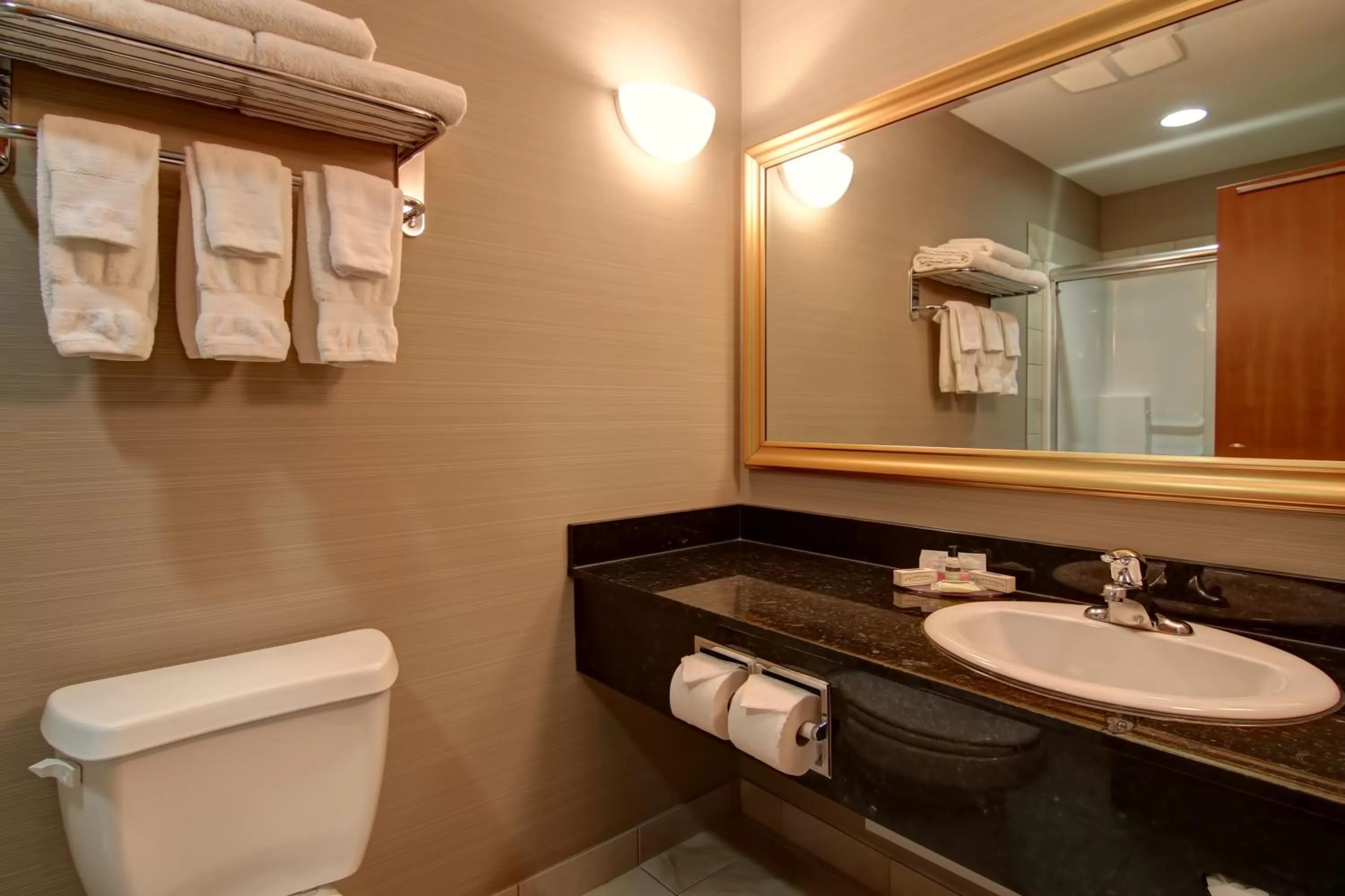 Shower in Canalta Hotel Assiniboia