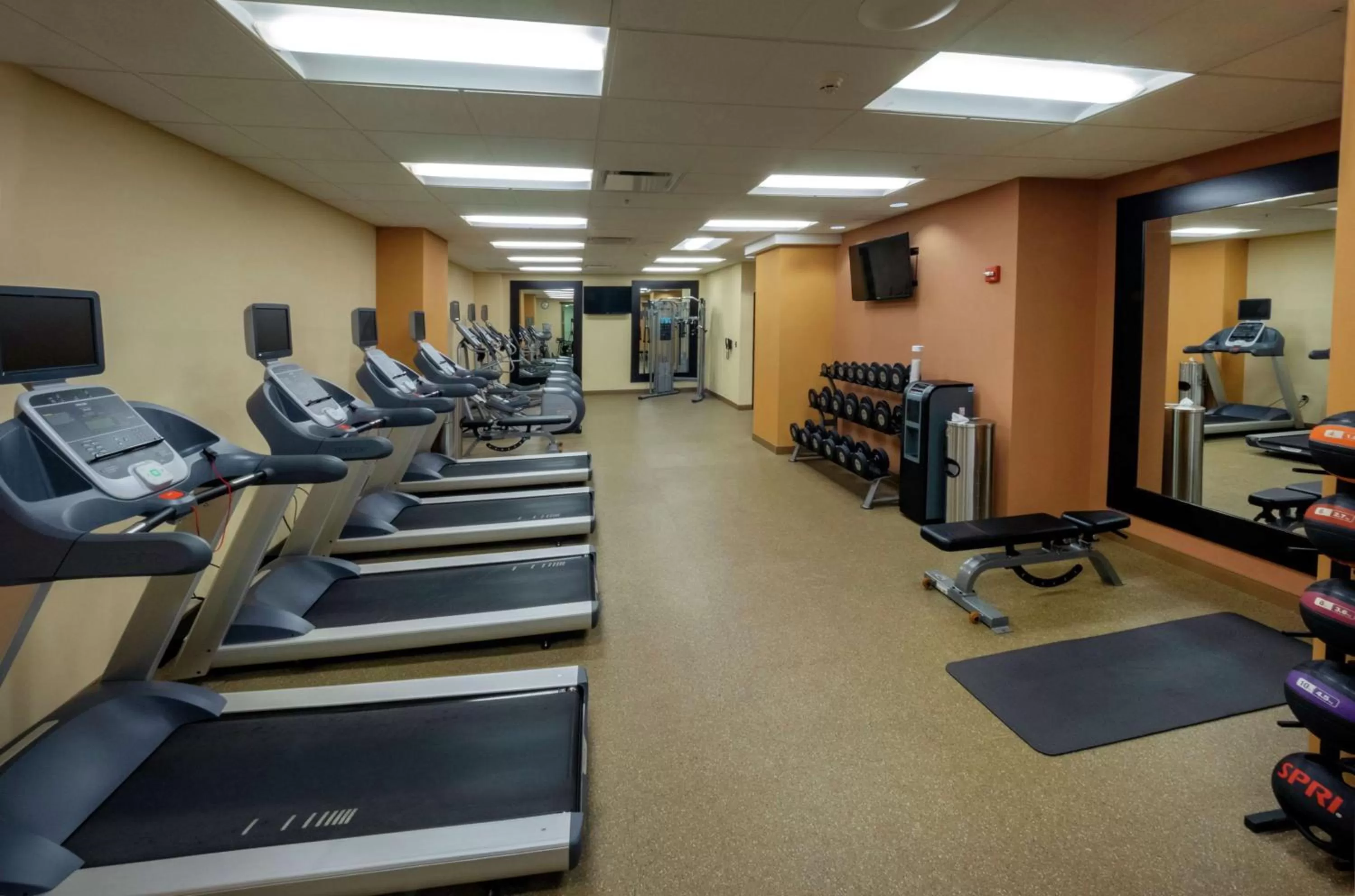 Fitness centre/facilities in The Hilton Garden Inn Buffalo-Downtown