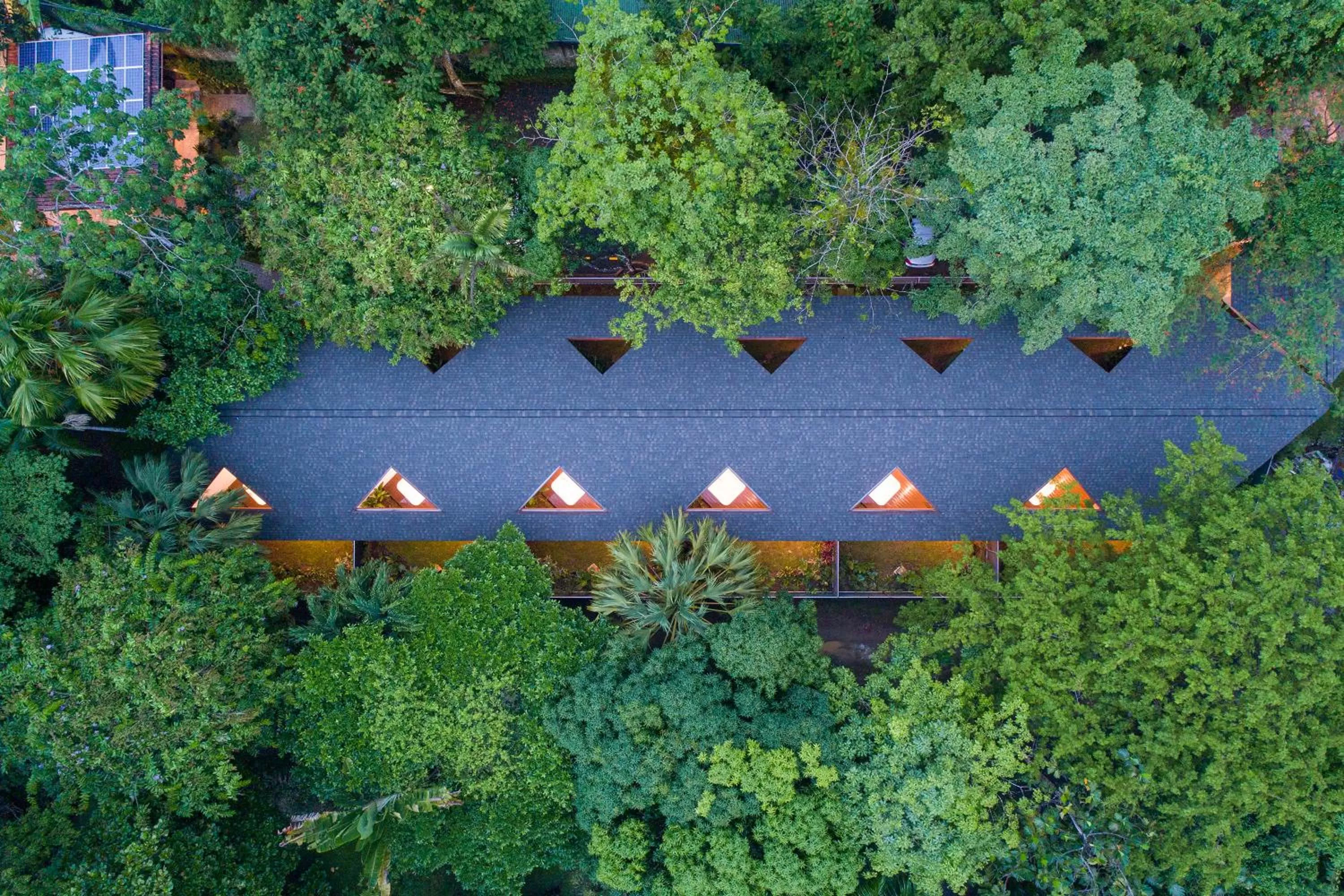 Natural landscape in Pumilio Mountain & Ocean Hotel