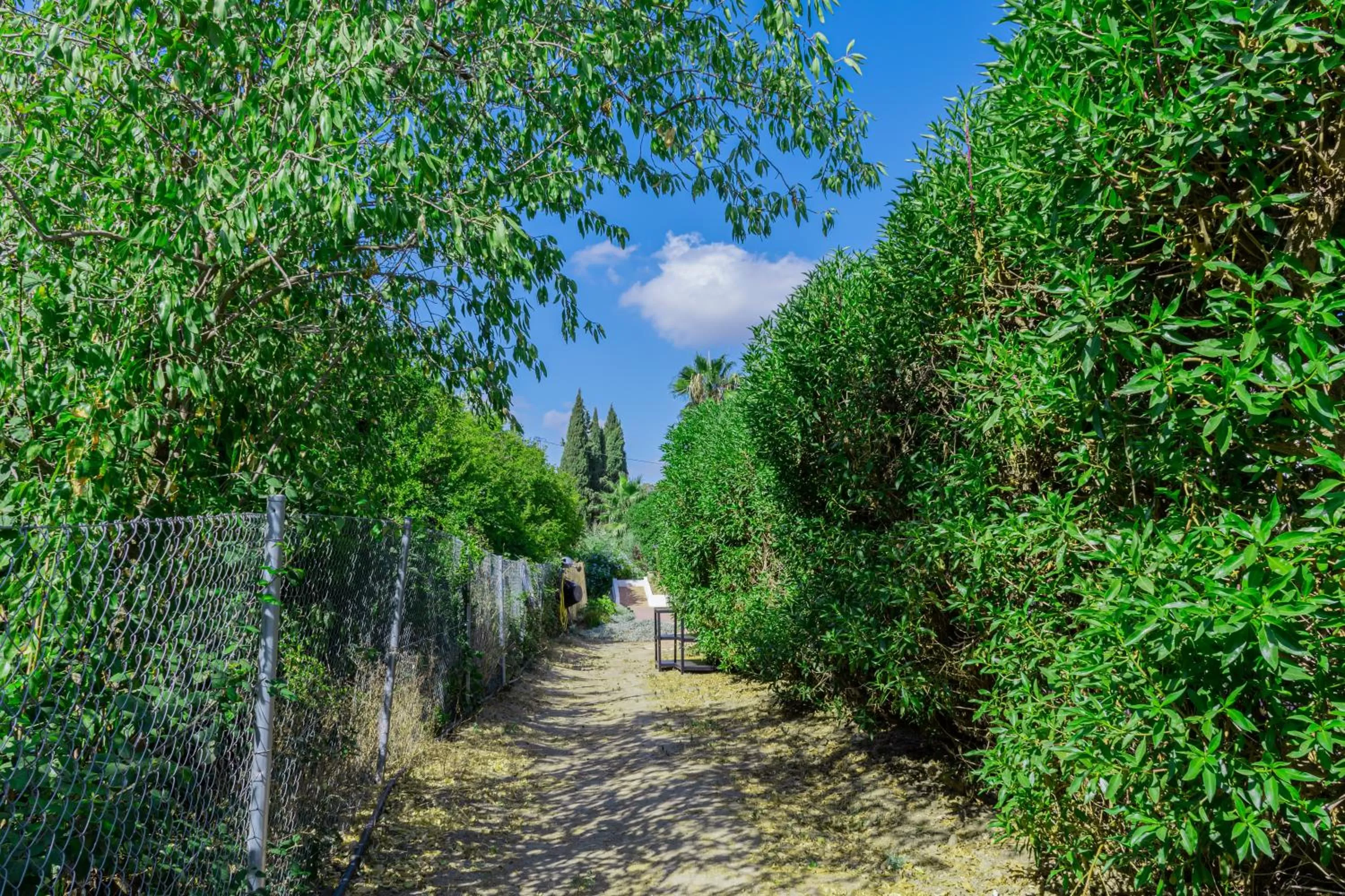 Garden in B&B Casa de Ámbar
