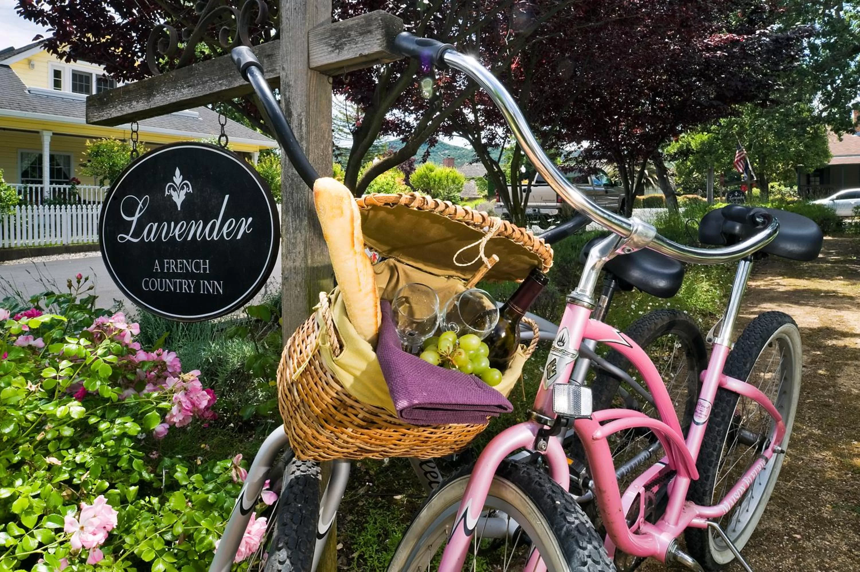 Day in Lavender, A Four Sisters Inn