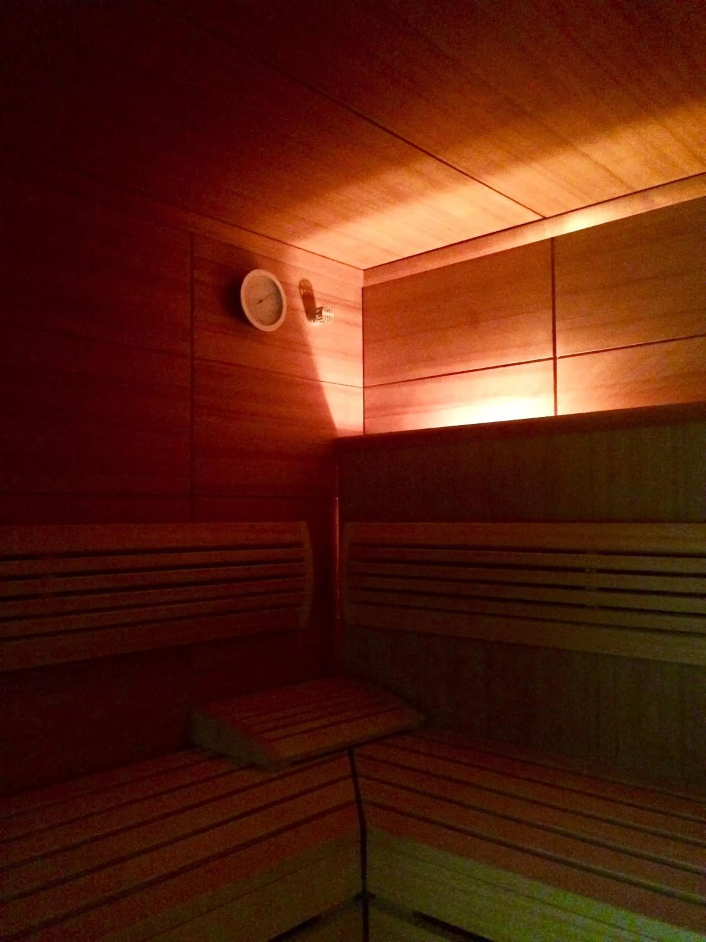 Sauna in WELLNESS HOTEL LÖWE