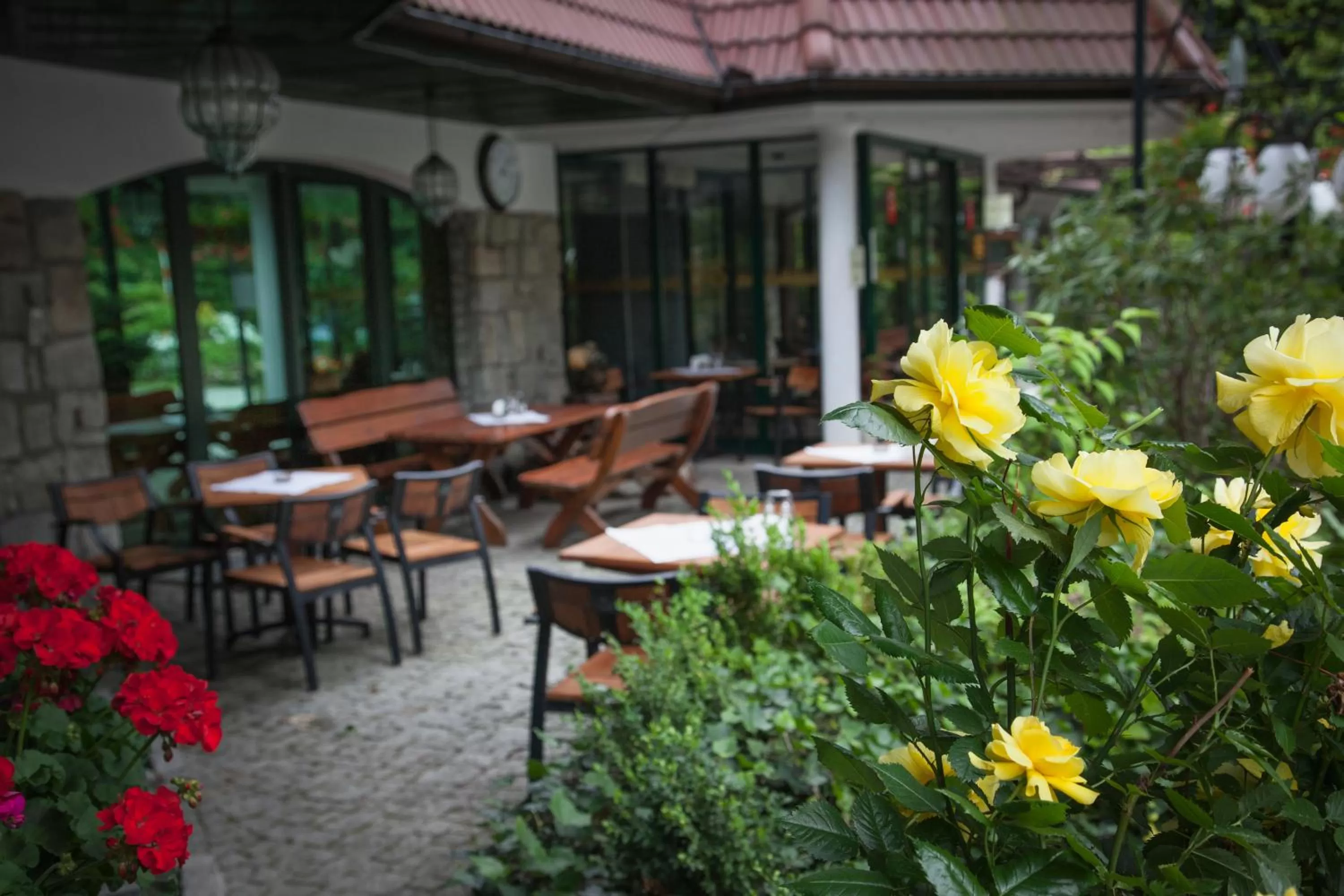 Garden in Hotel Las Piechowice