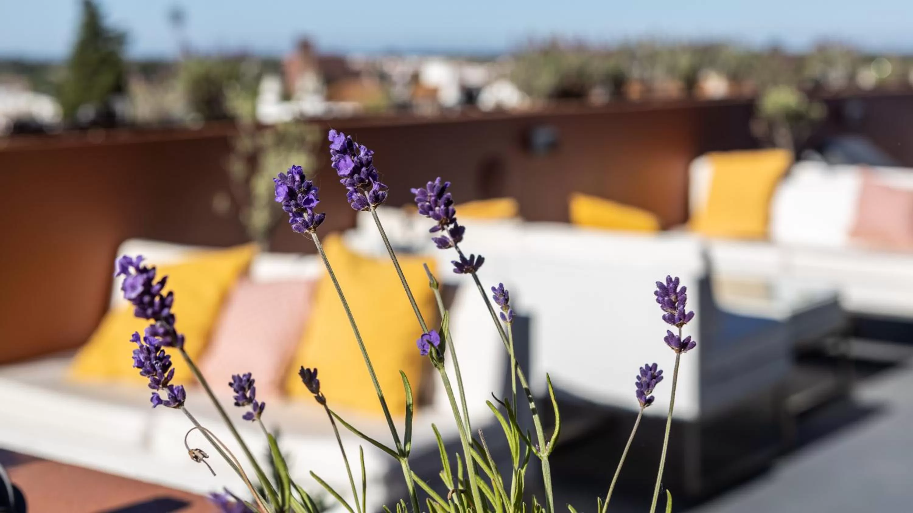 Balcony/Terrace in Vitoria Stone Hotel