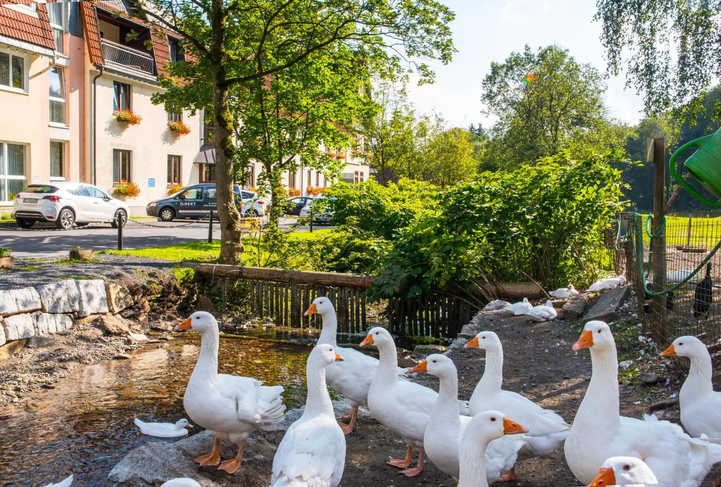 Pets in Hotel Waldmühle