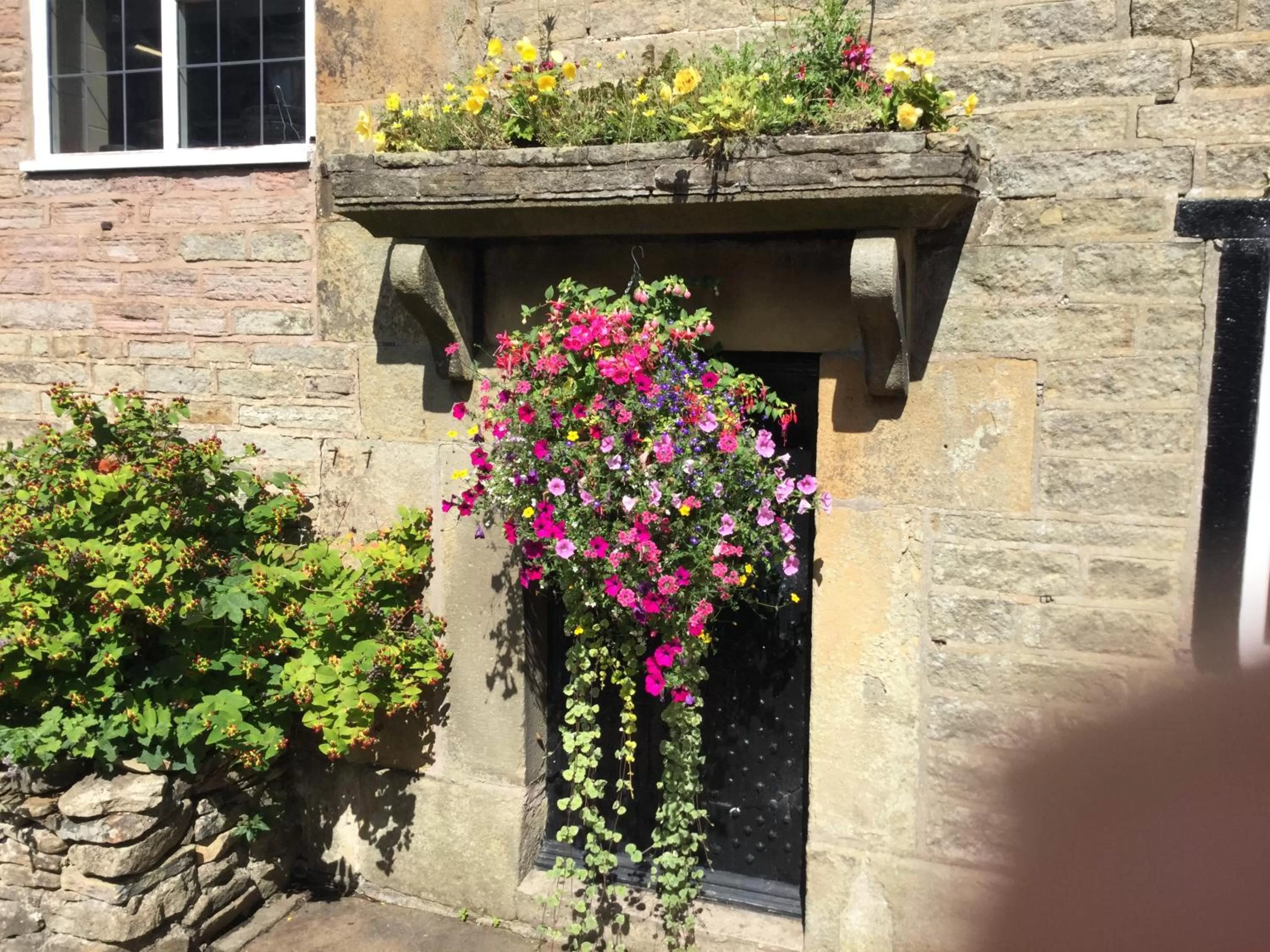 Garden in The Lamb Inn