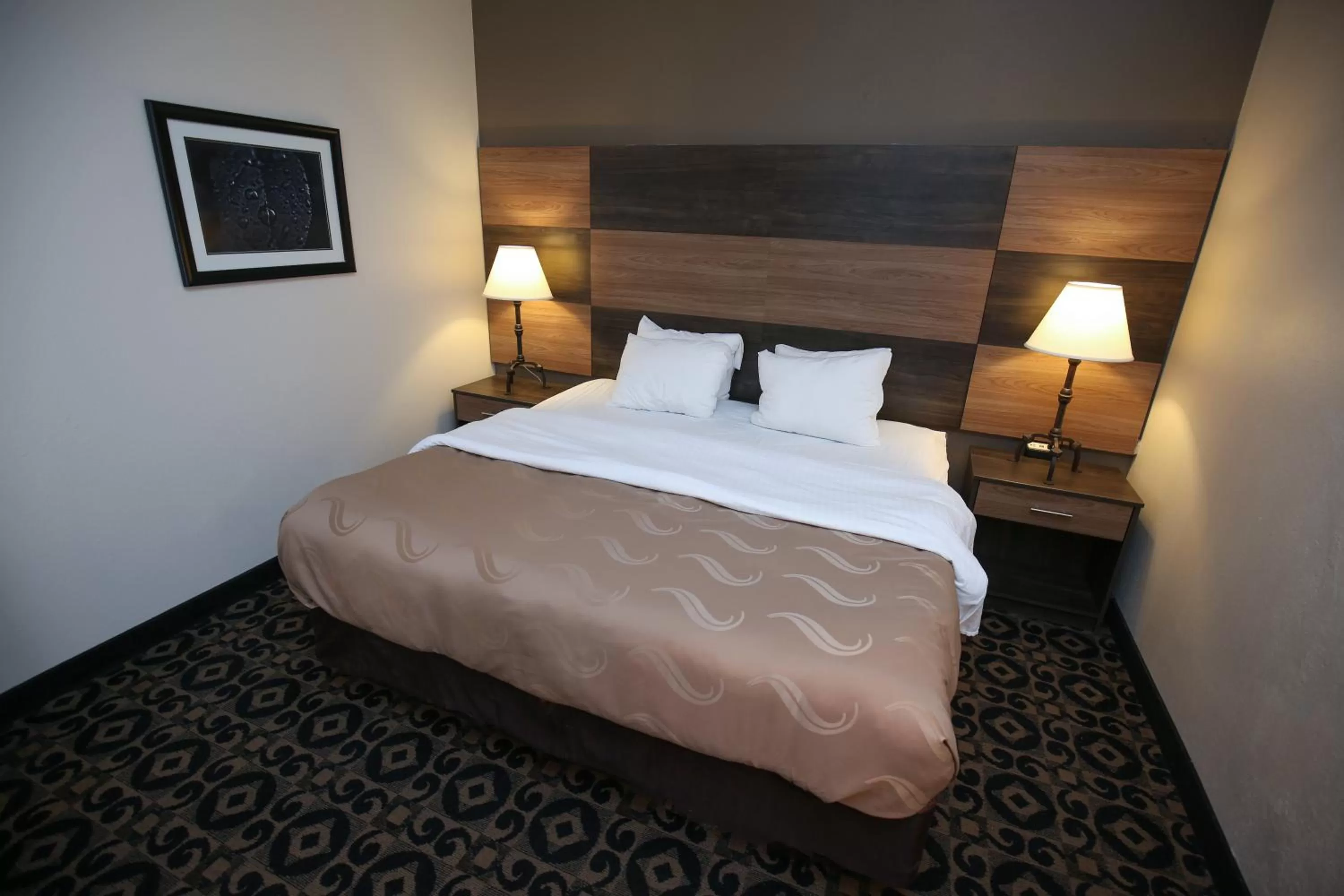 Bedroom, Bed in Quality Inn & Suites Boone - University Area