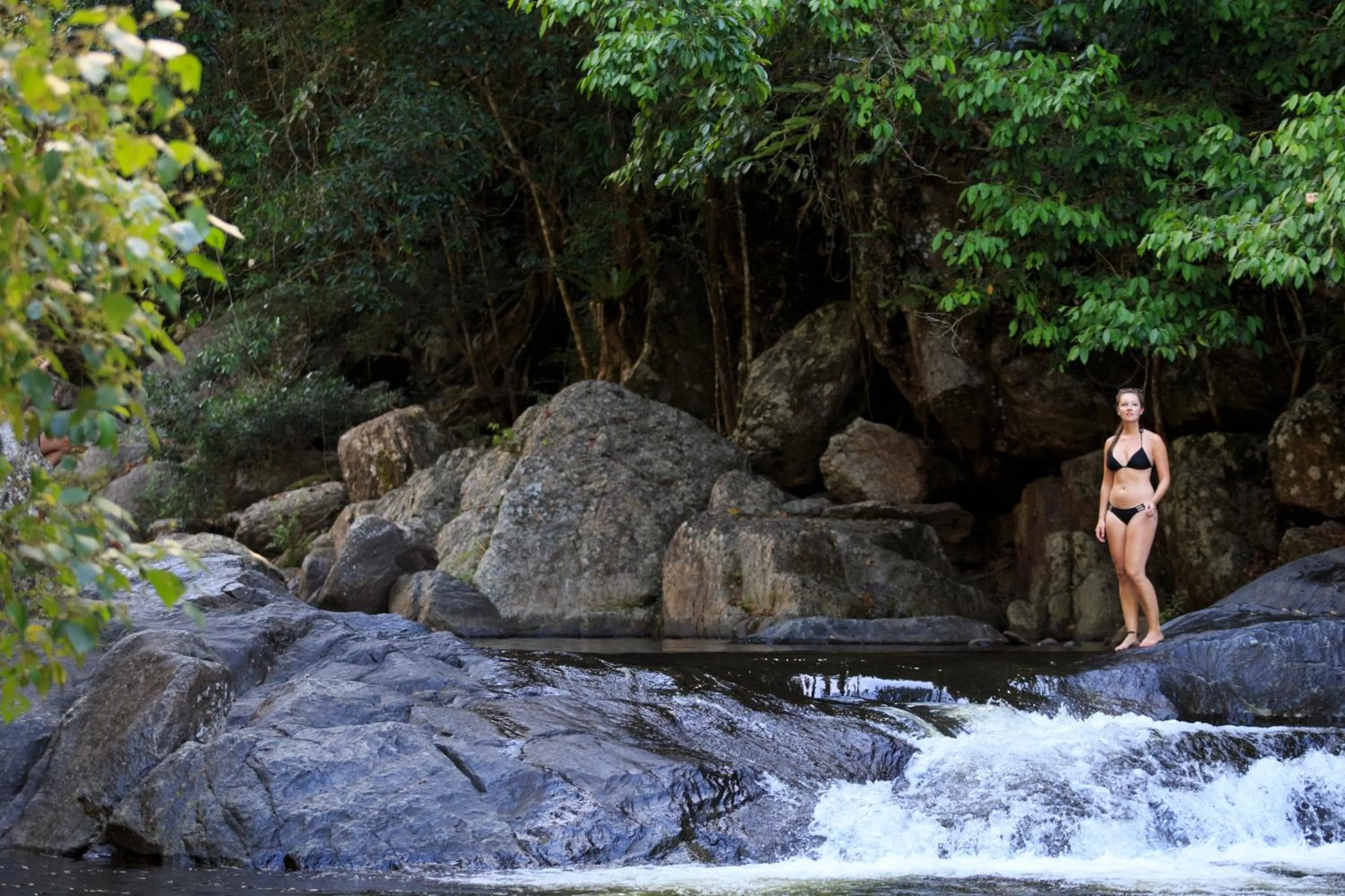 Natural landscape in YHA Cairns Central