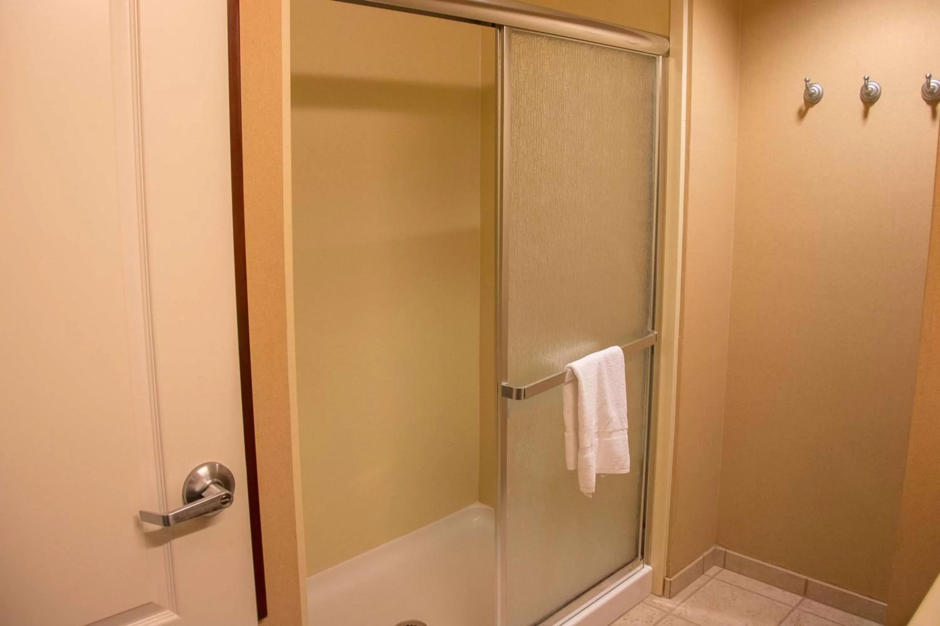 Bathroom in Hampton Inn Murphy