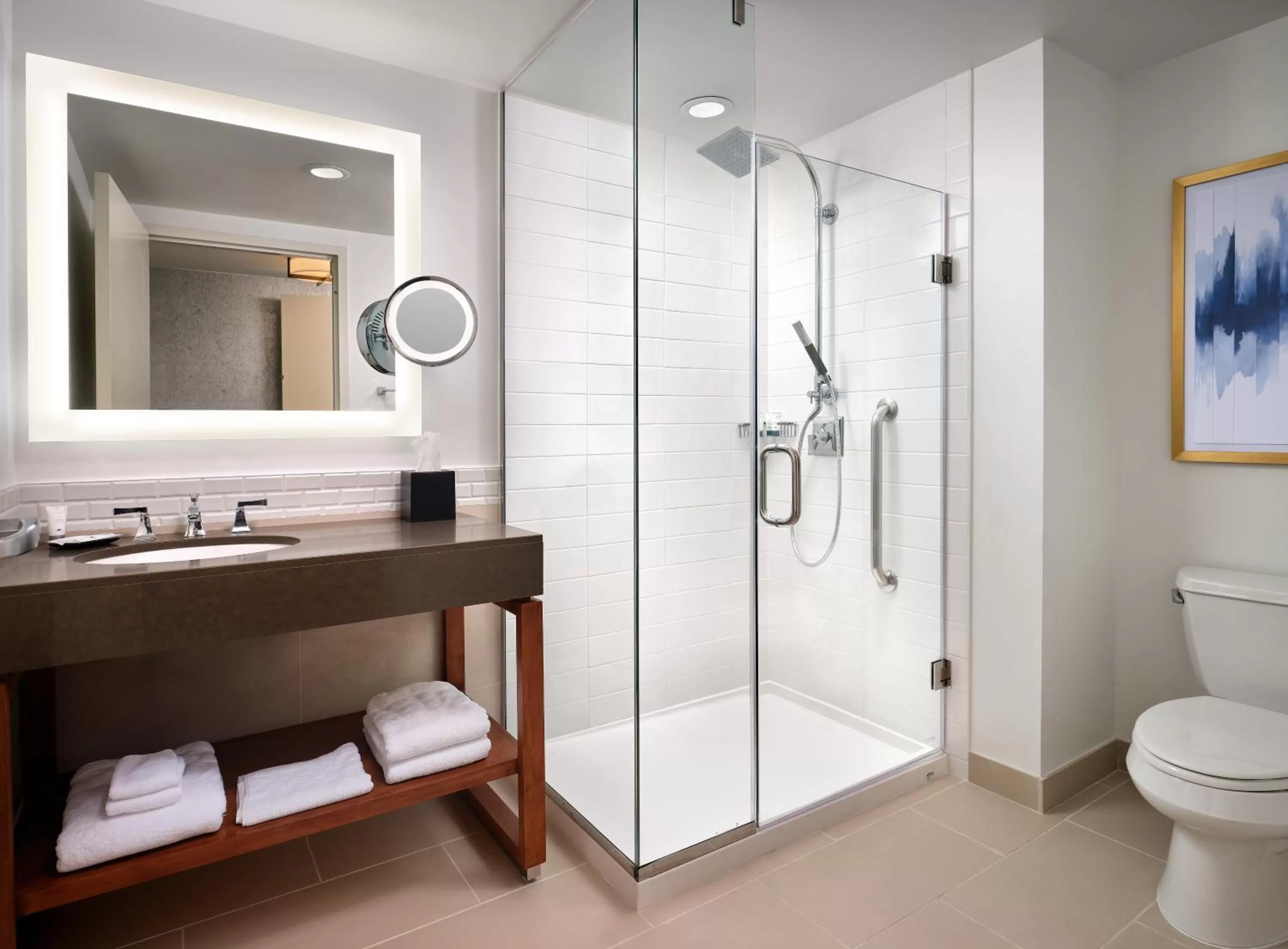 Toilet in The Westin Austin at The Domain