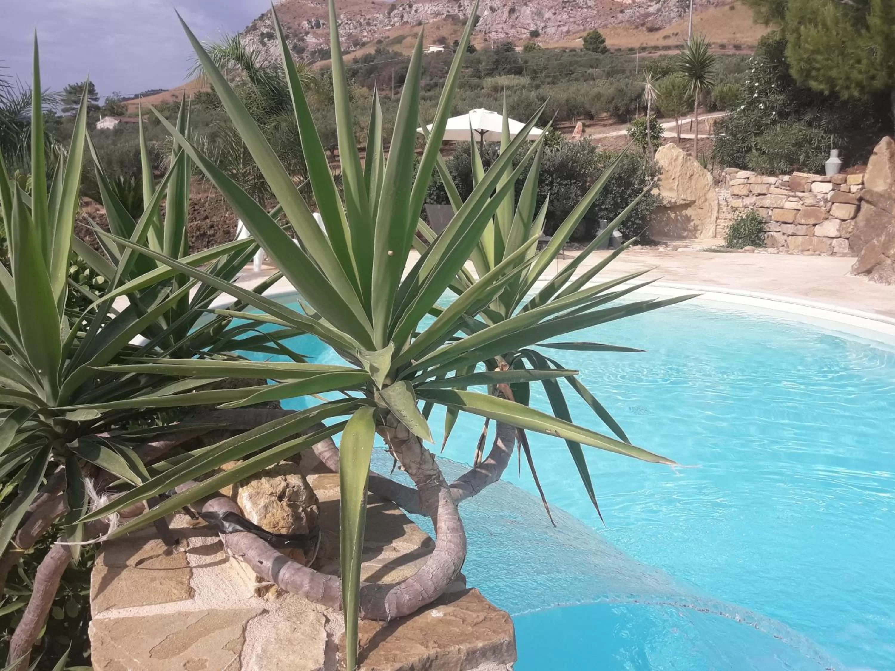 Swimming pool in La Suite Di Segesta