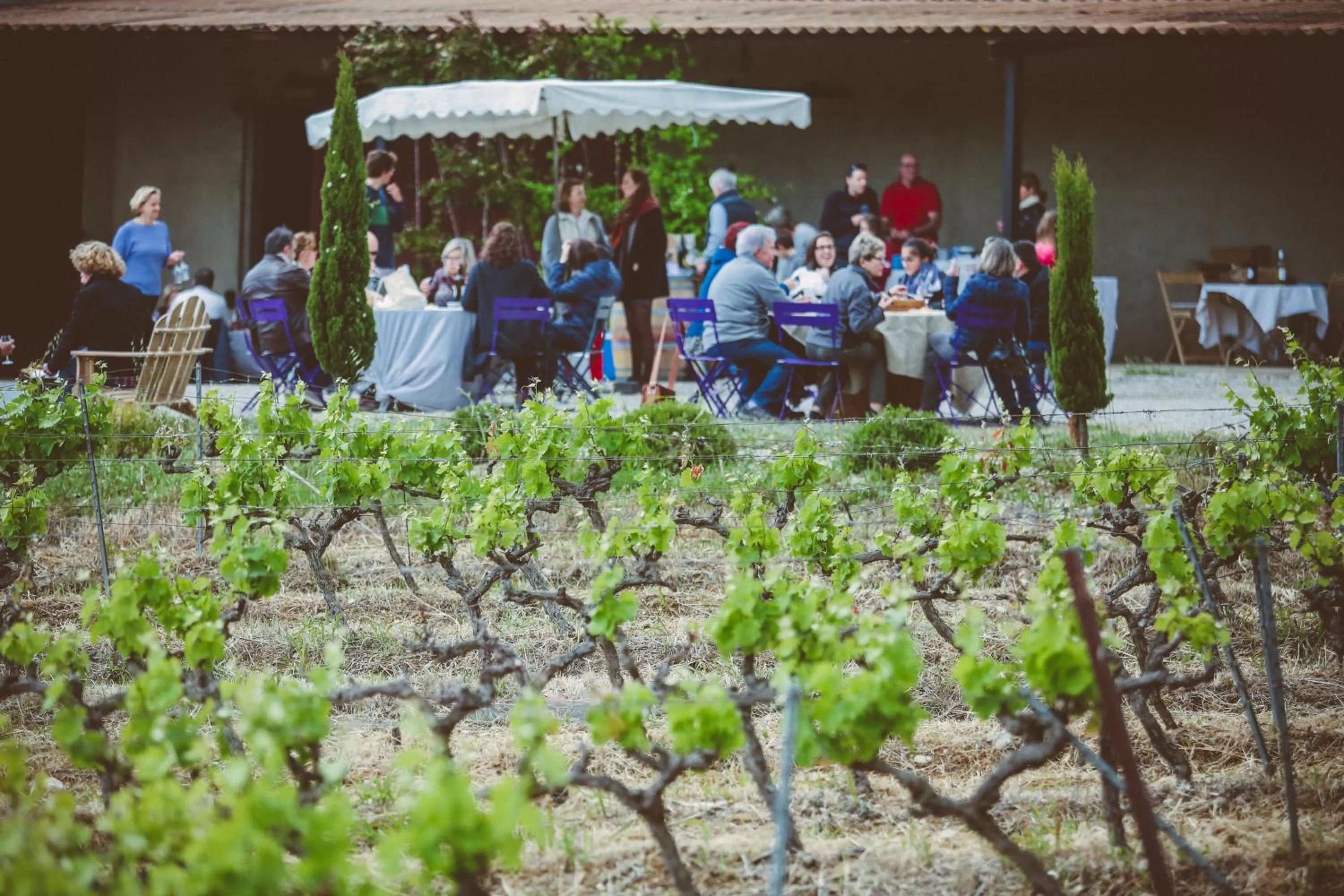 Activities in Domaine de Salente