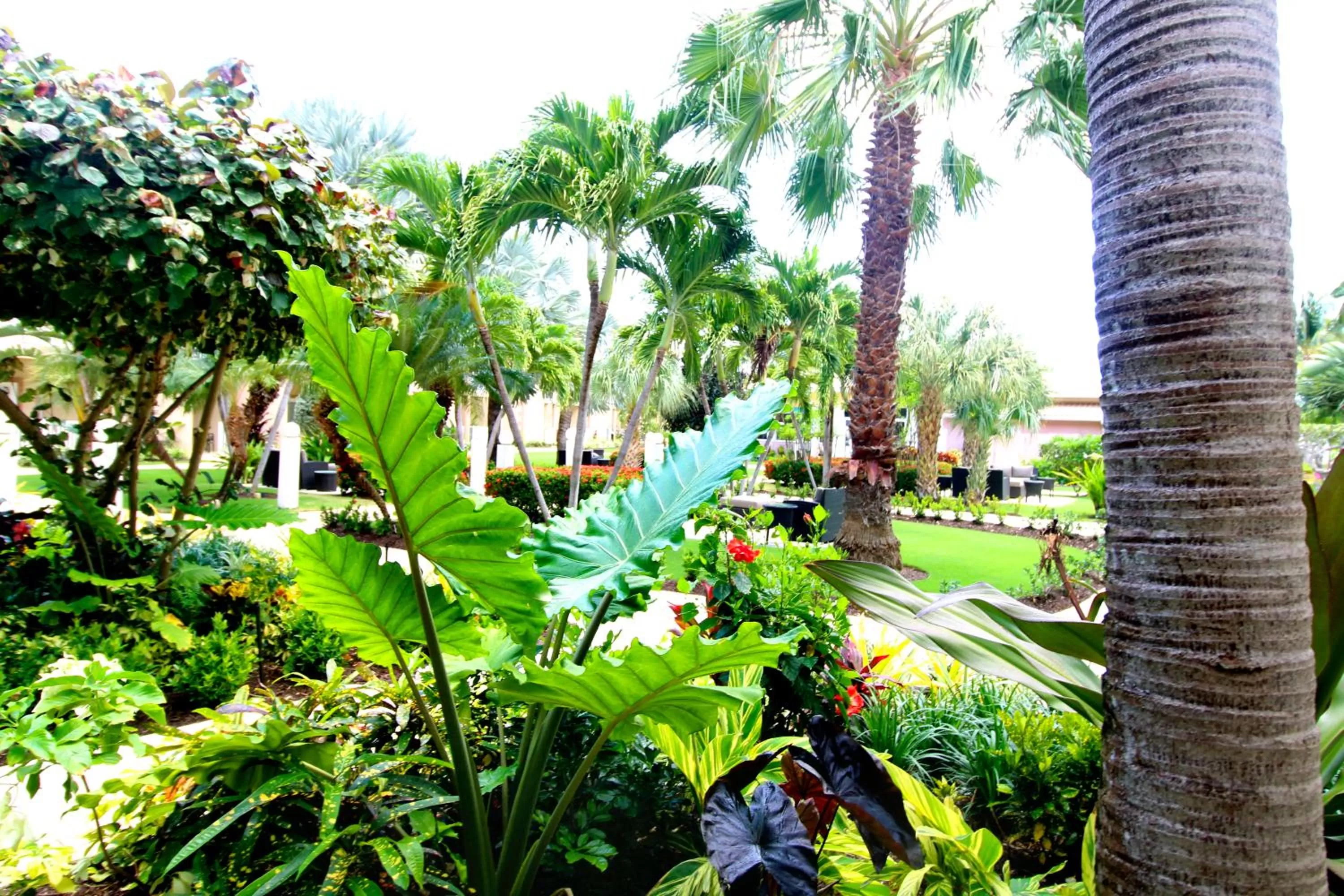 Other in Holiday Inn Resort Grand Cayman by IHG