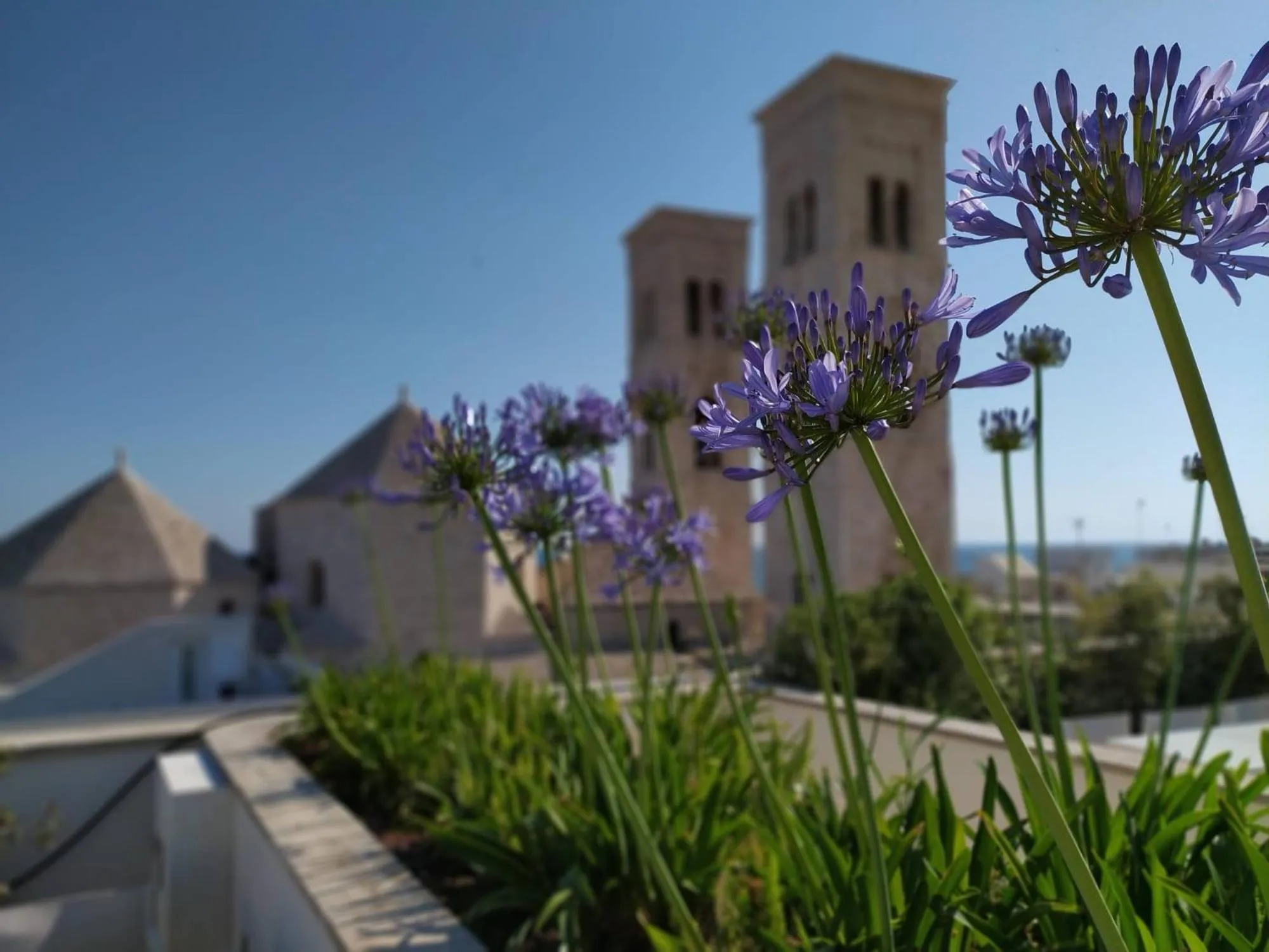 Balcony/Terrace in DOGANA RESORT