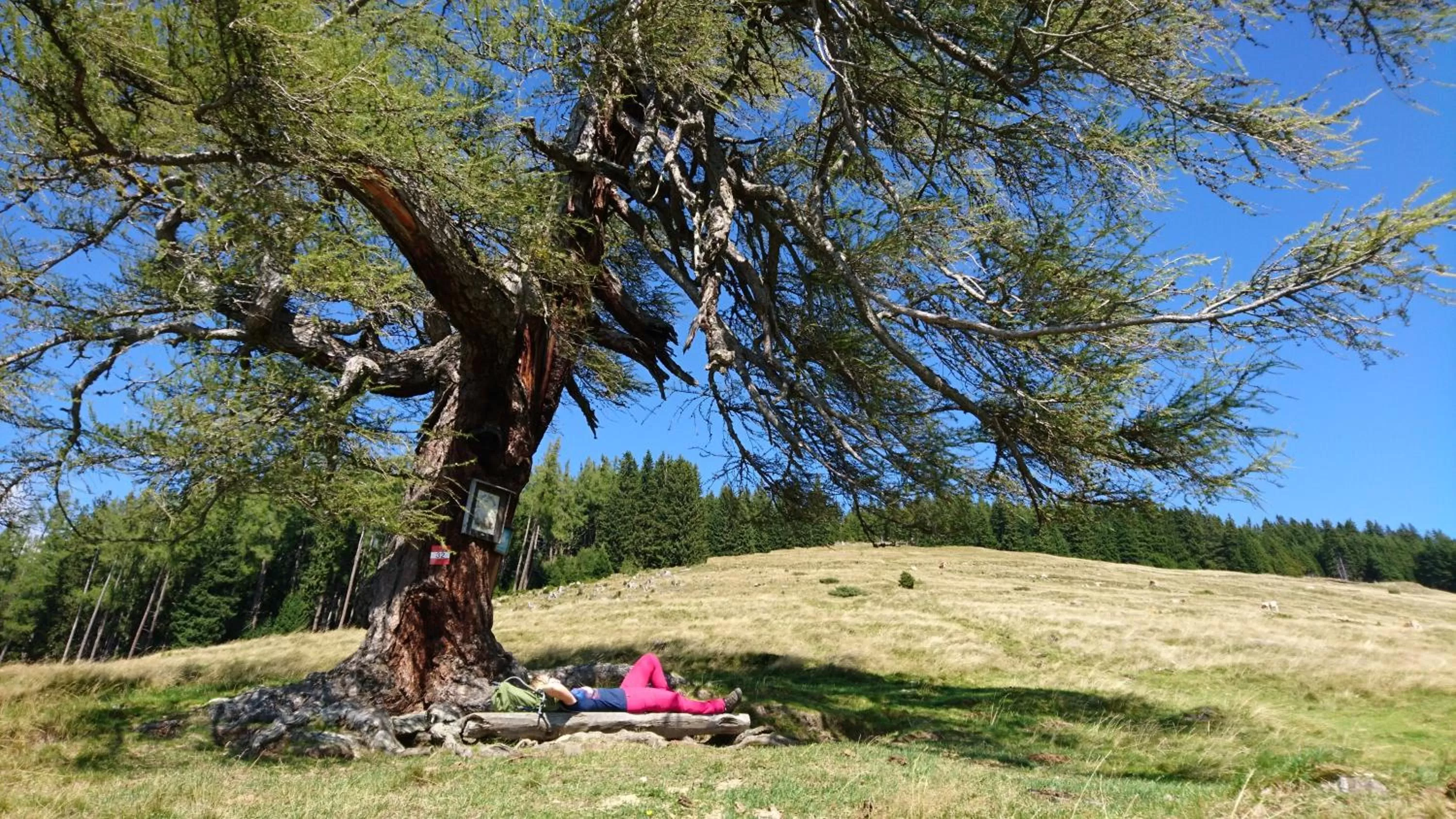 Spring in Motel Zeltweg - Self-Check-in