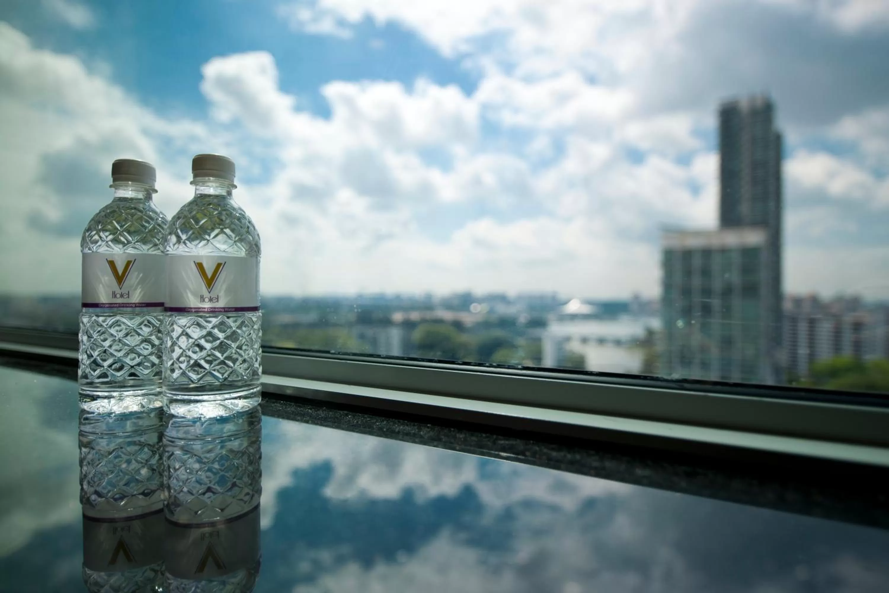 View (from property/room) in V Hotel Lavender