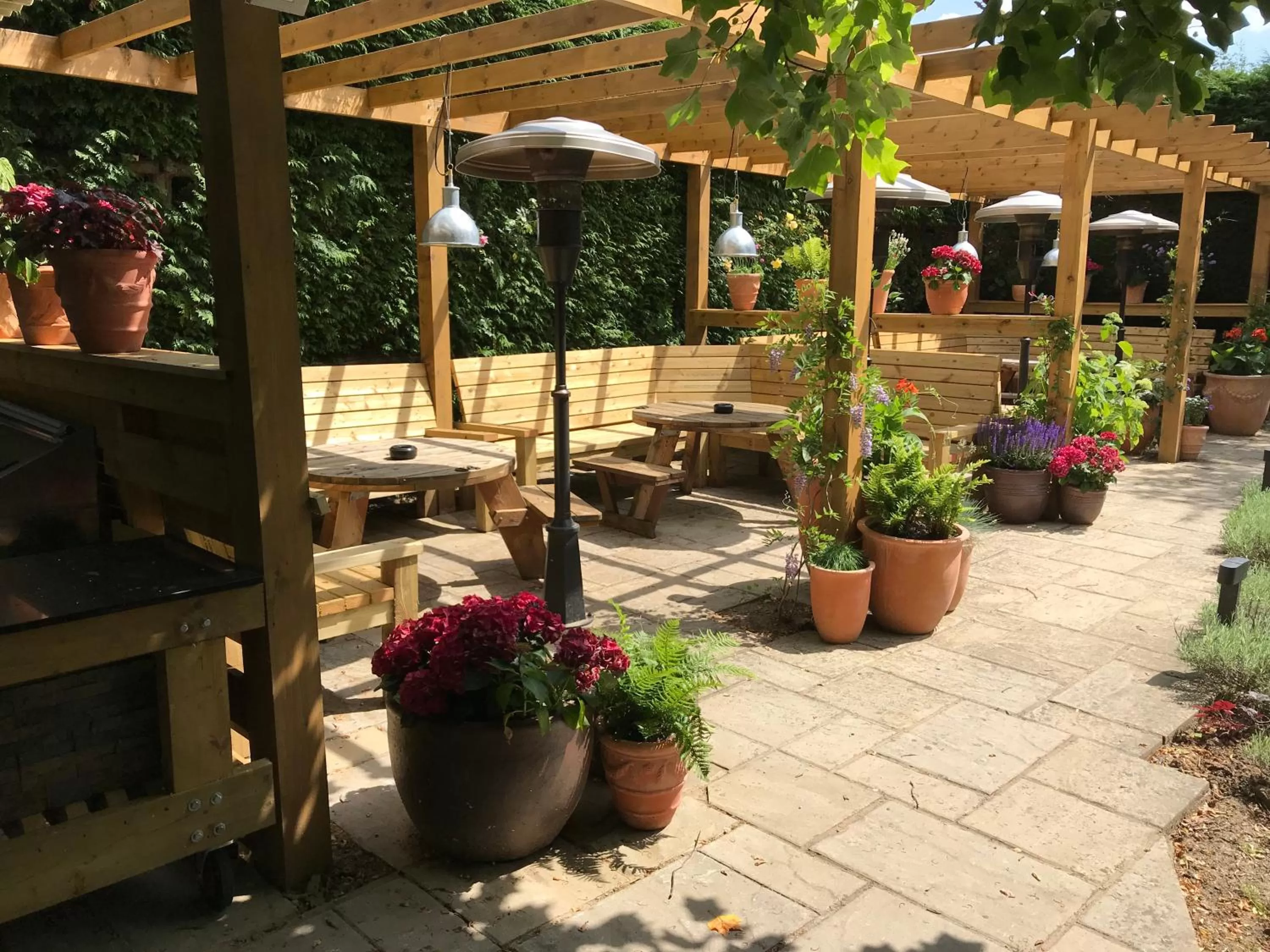 Garden in The Carpenters Arms