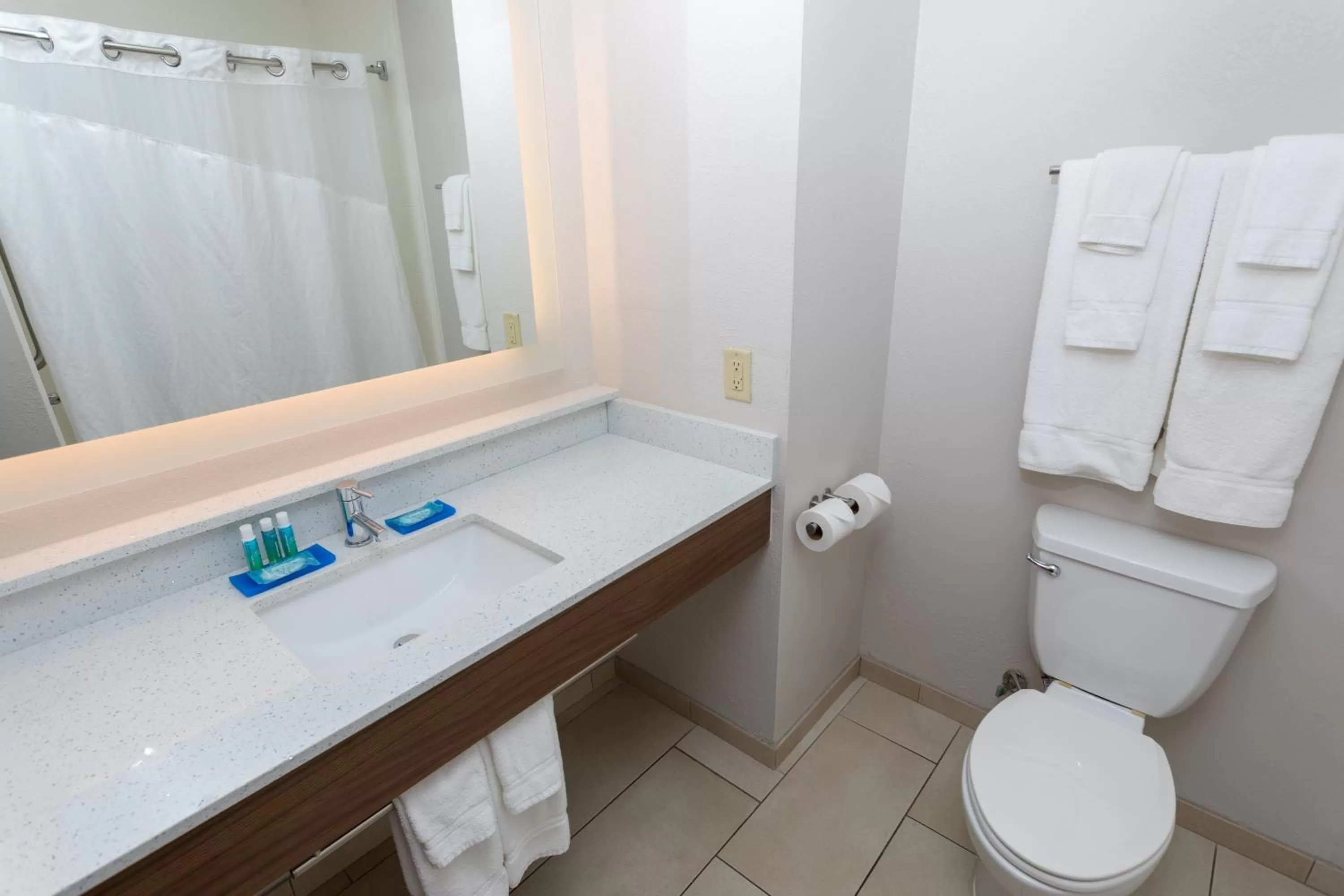 Bathroom in Holiday Inn Express Hotel & Suites Athens by IHG