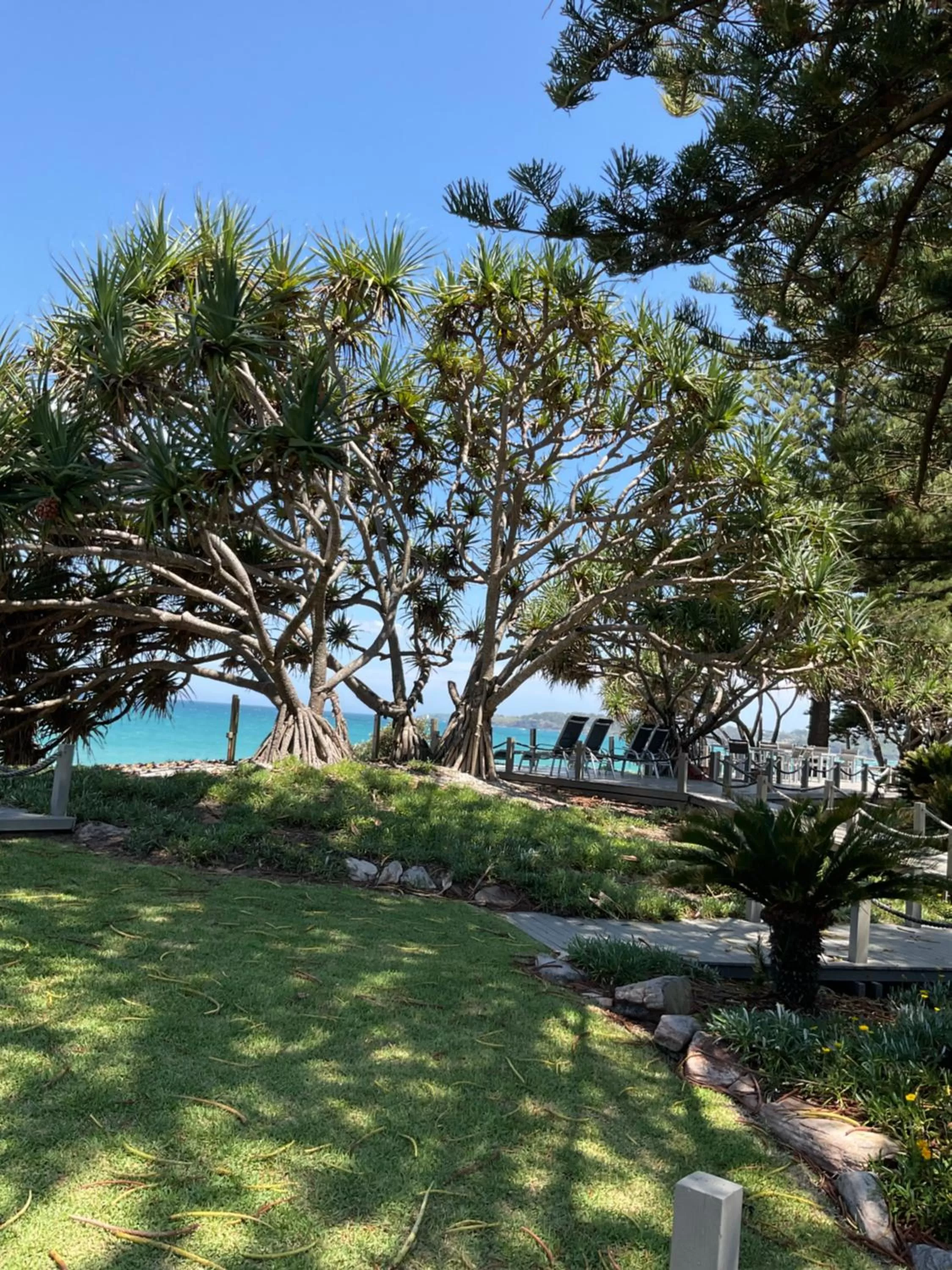 Garden in Private Suite Nautilus Beach Front Resort