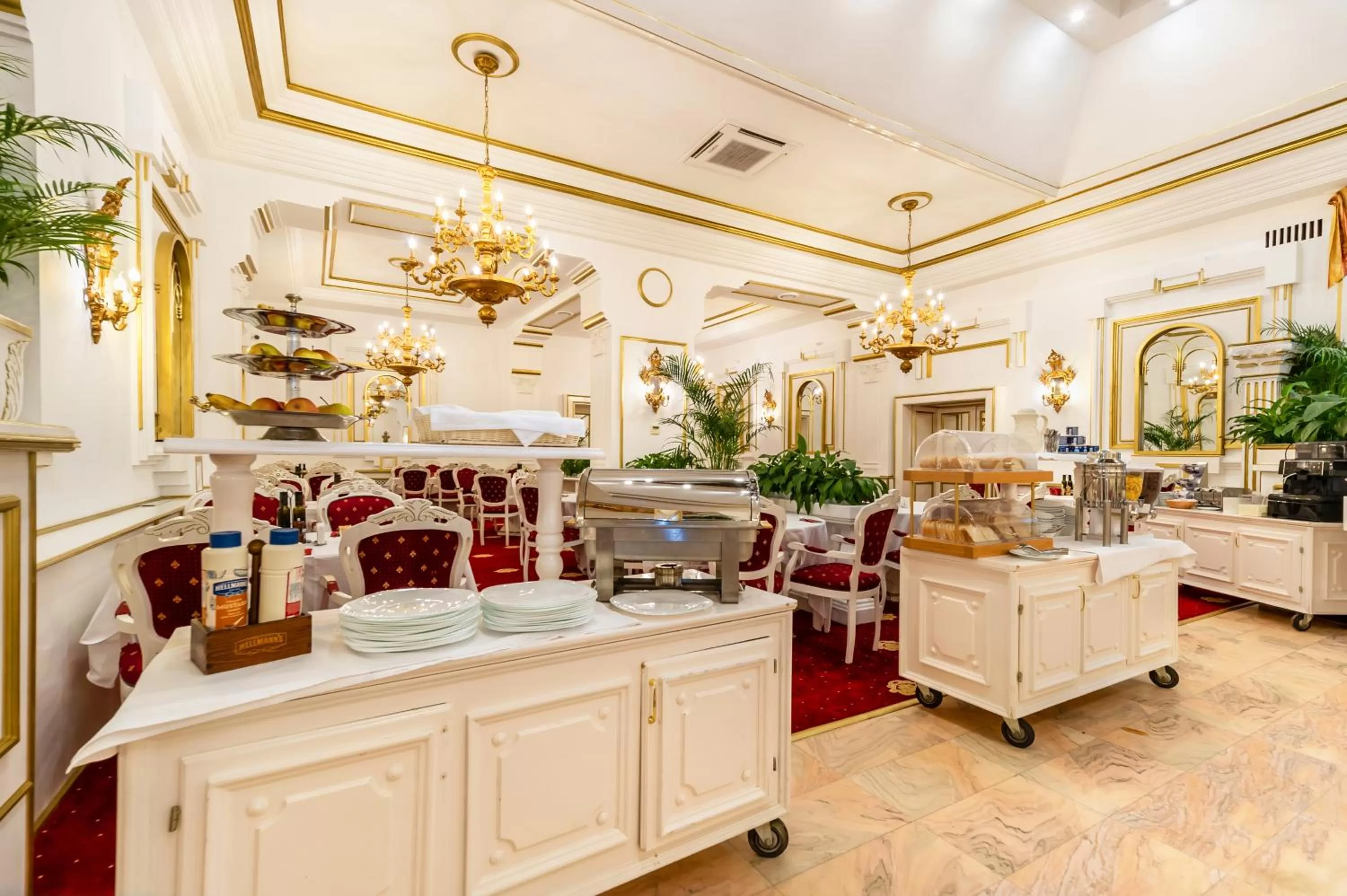 Restaurant/places to eat in Hotel Imparatul Romanilor Hotel & SPA