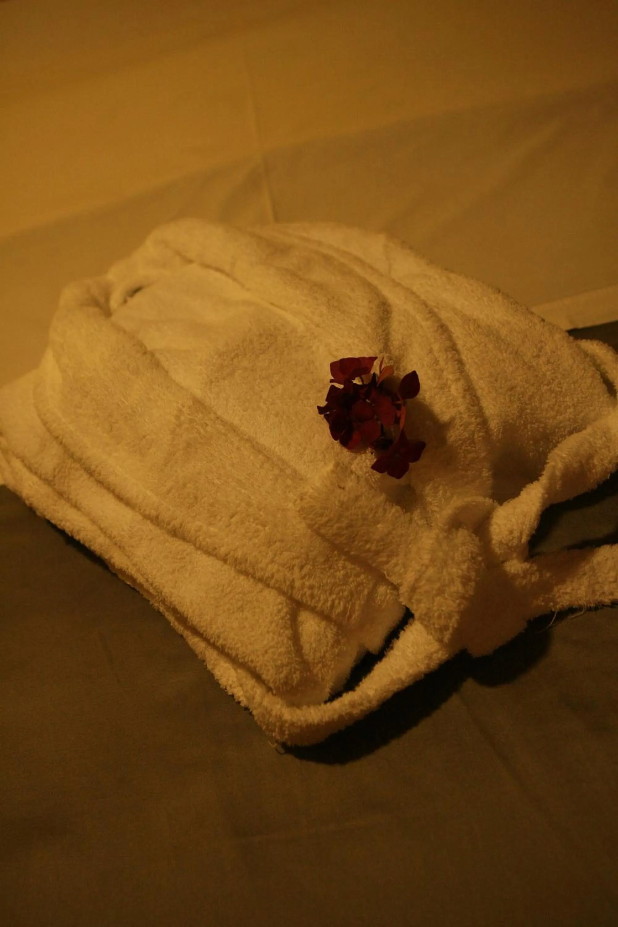 Decorative detail in Hotel Rural Alves - BRAGA - Casa Alves de Torneiros